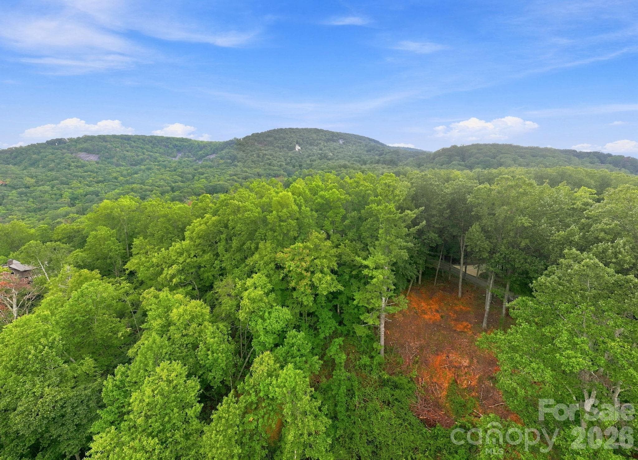 Lot at 193 Fern Cove Lane, Gerton, photo 7 of 13