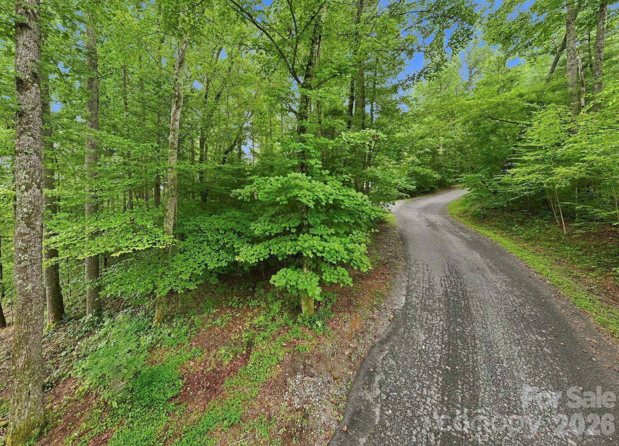 Lot at 193 Fern Cove Lane, Gerton, photo 8 of 13