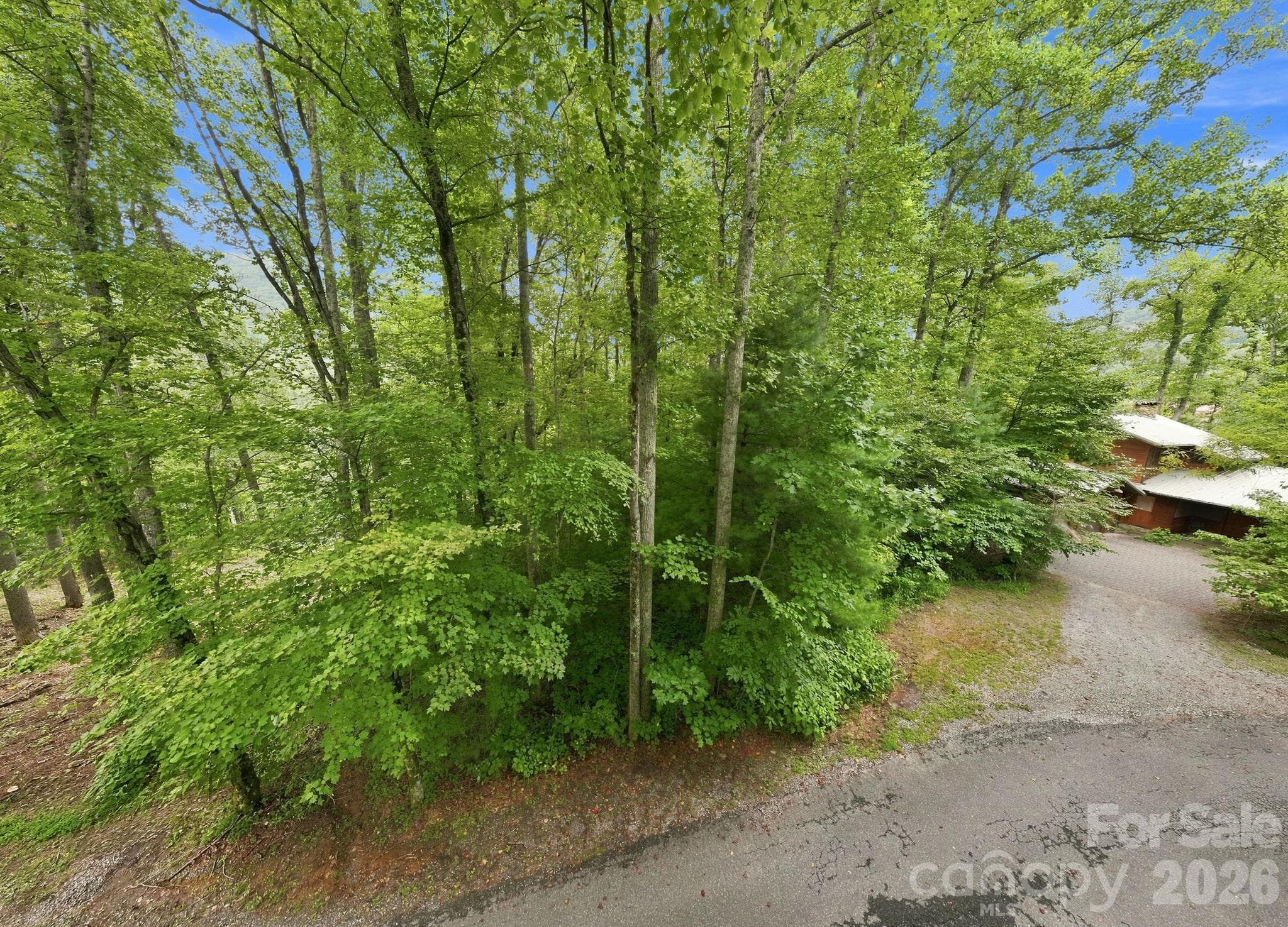 Lot at 193 Fern Cove Lane, Gerton, photo 9 of 13