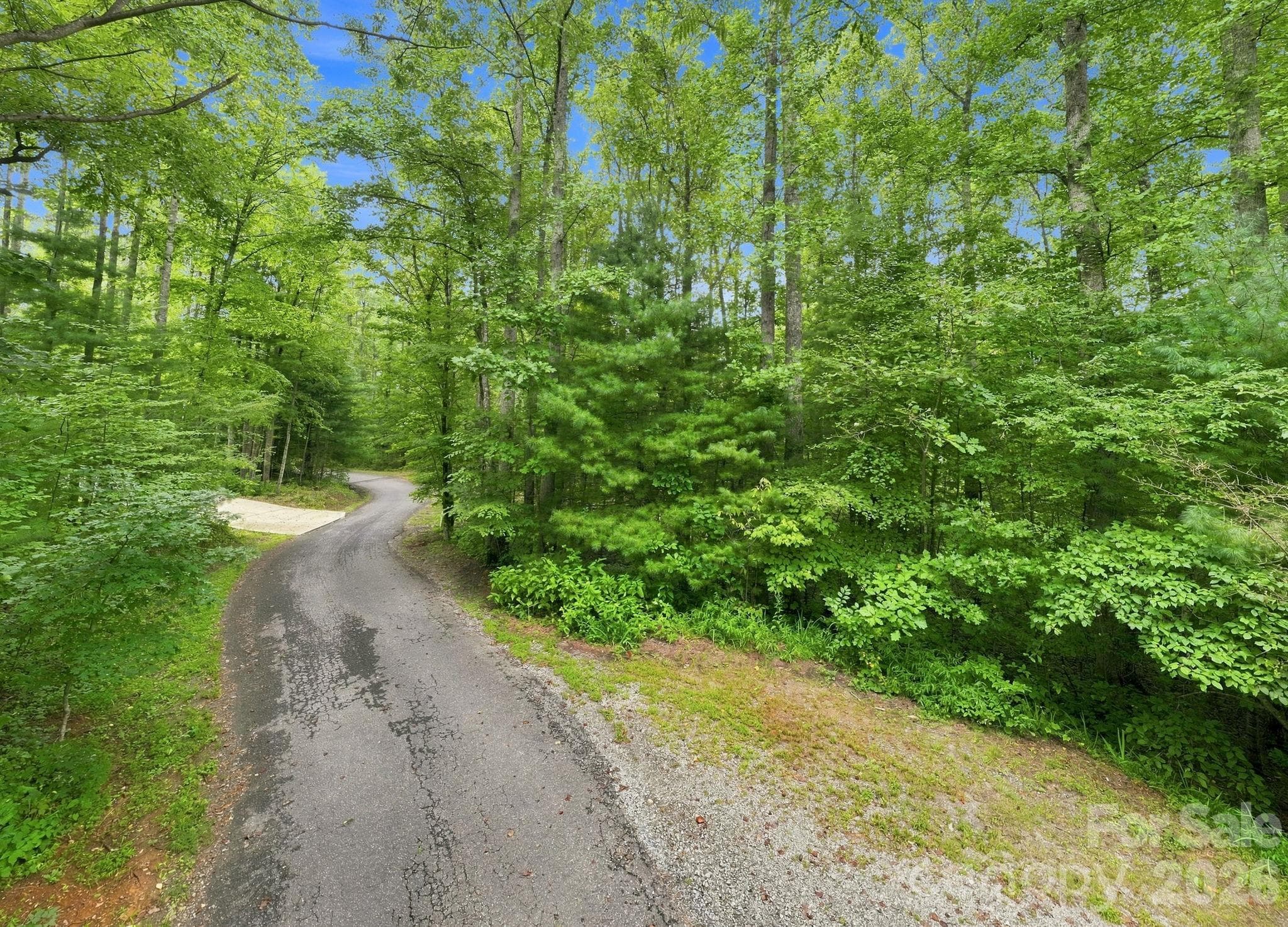 Lot at 193 Fern Cove Lane, Gerton, photo 10 of 13
