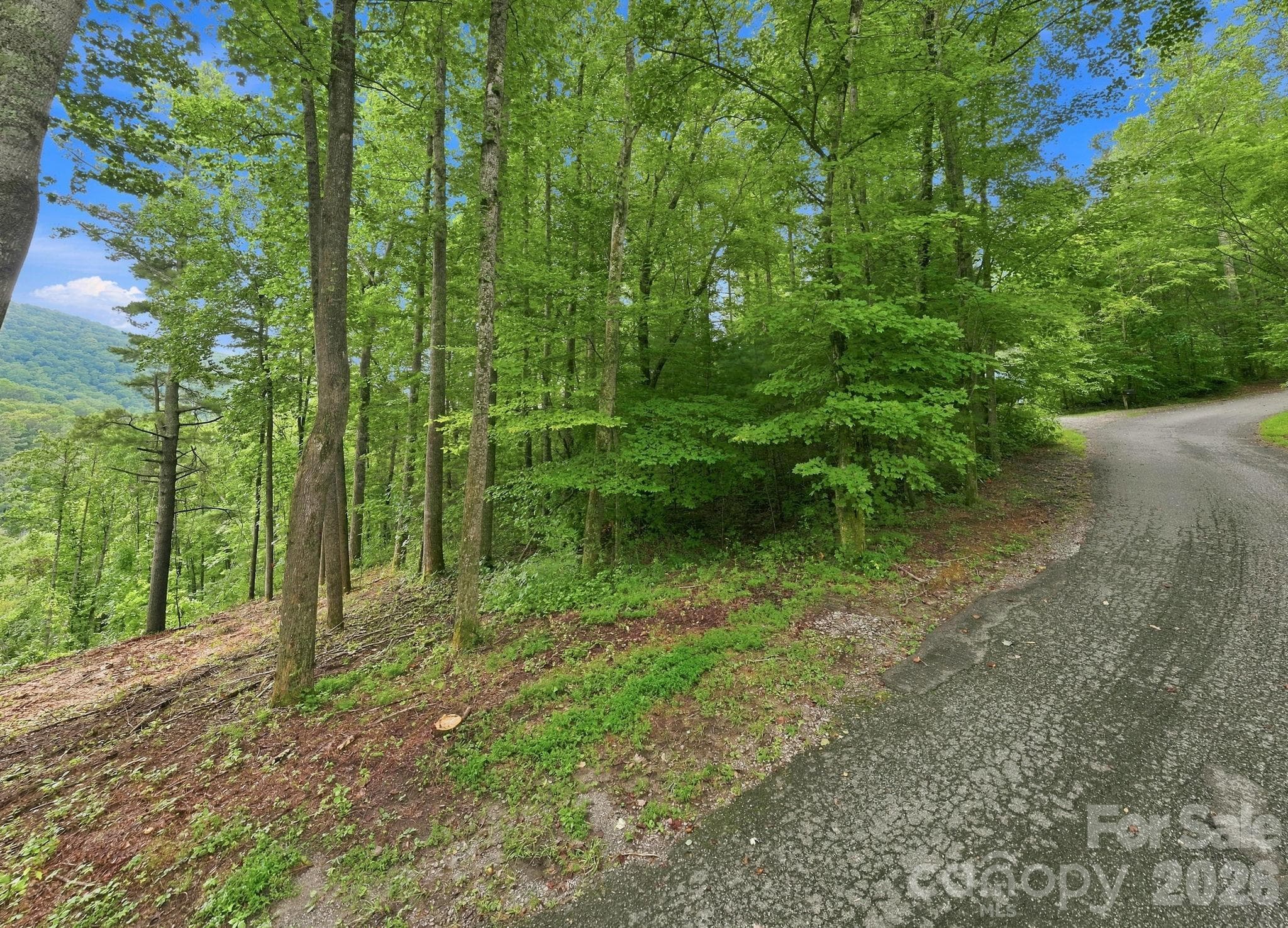 Lot at 193 Fern Cove Lane, Gerton, photo 11 of 13