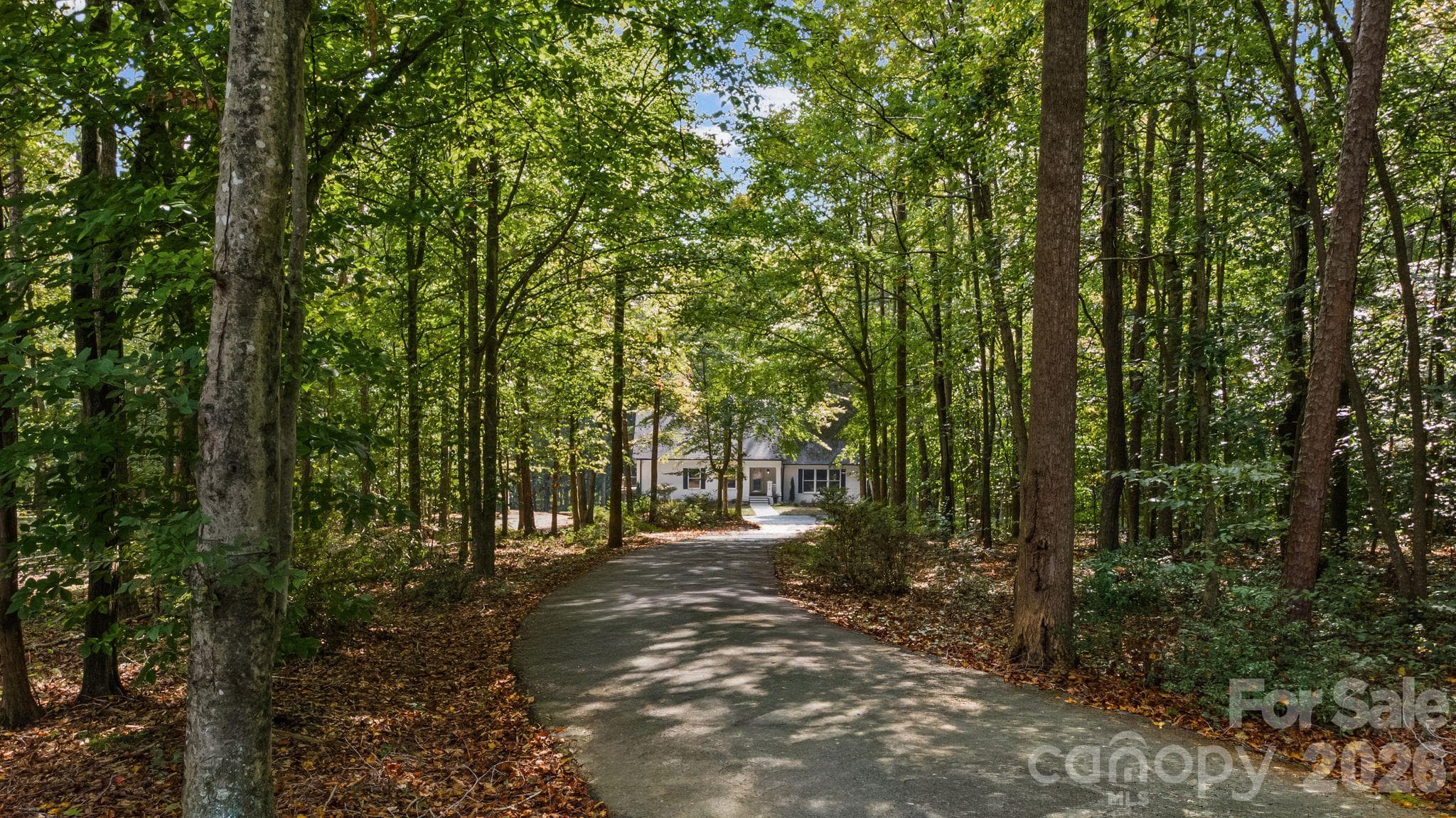Single Family Residence at 270 Sweet Autumn Lane, Lexington, photo 5 of 45