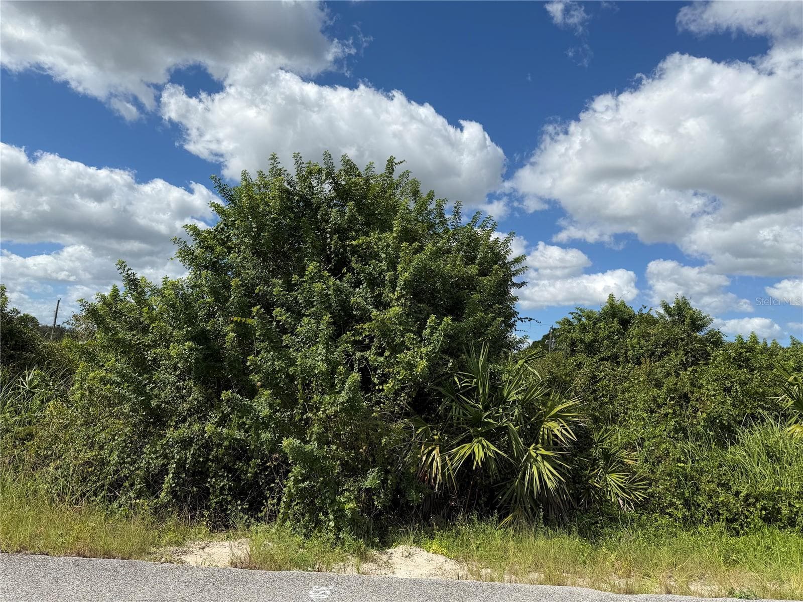 Land at 1209 PLUMOSA AVE #3, LEHIGH ACRES, photo 2 of 5
