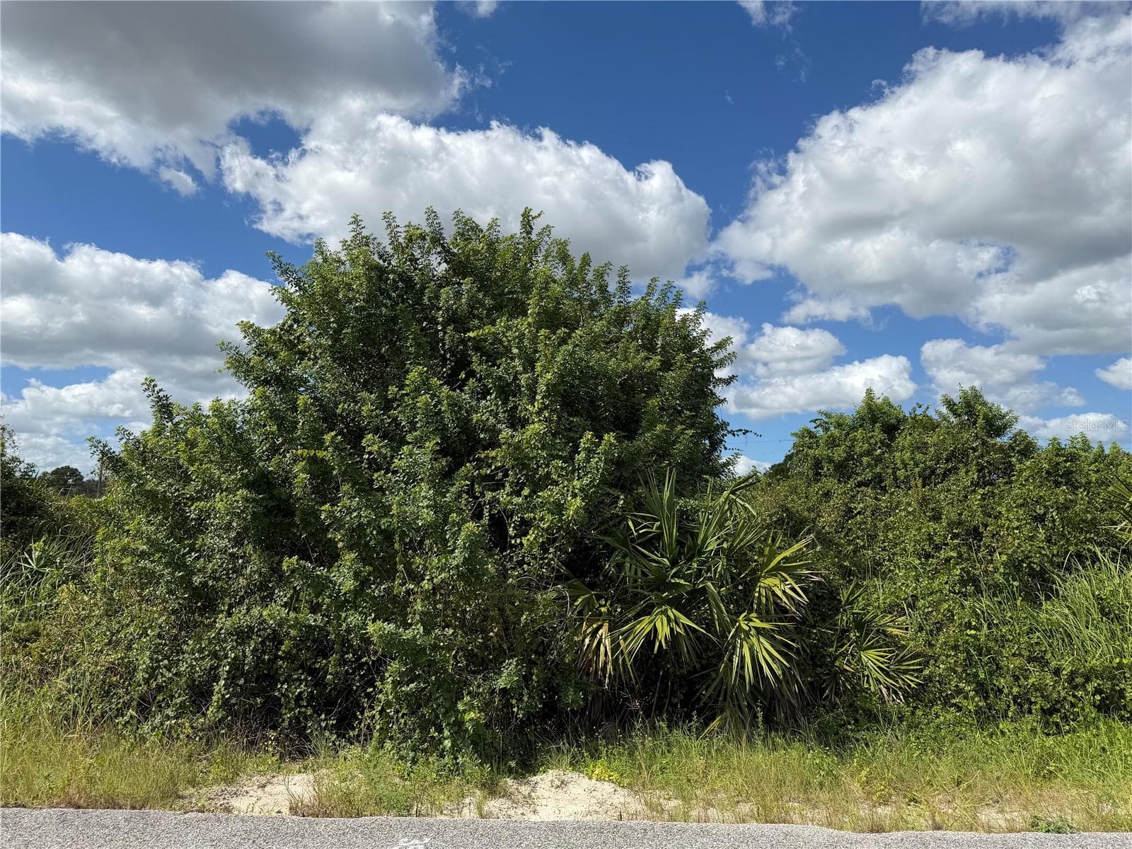 Land at 1209 PLUMOSA AVE #3, LEHIGH ACRES, photo 5 of 5