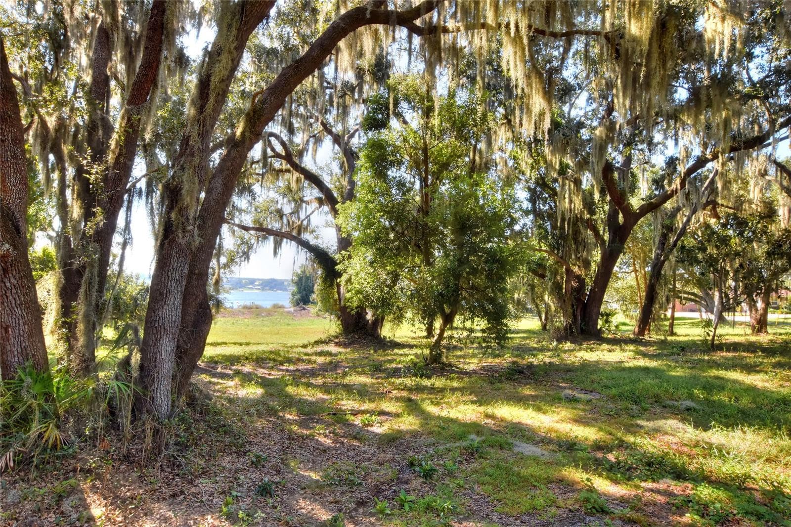 Land at MANGHAM RD, BABSON PARK, photo 10 of 16
