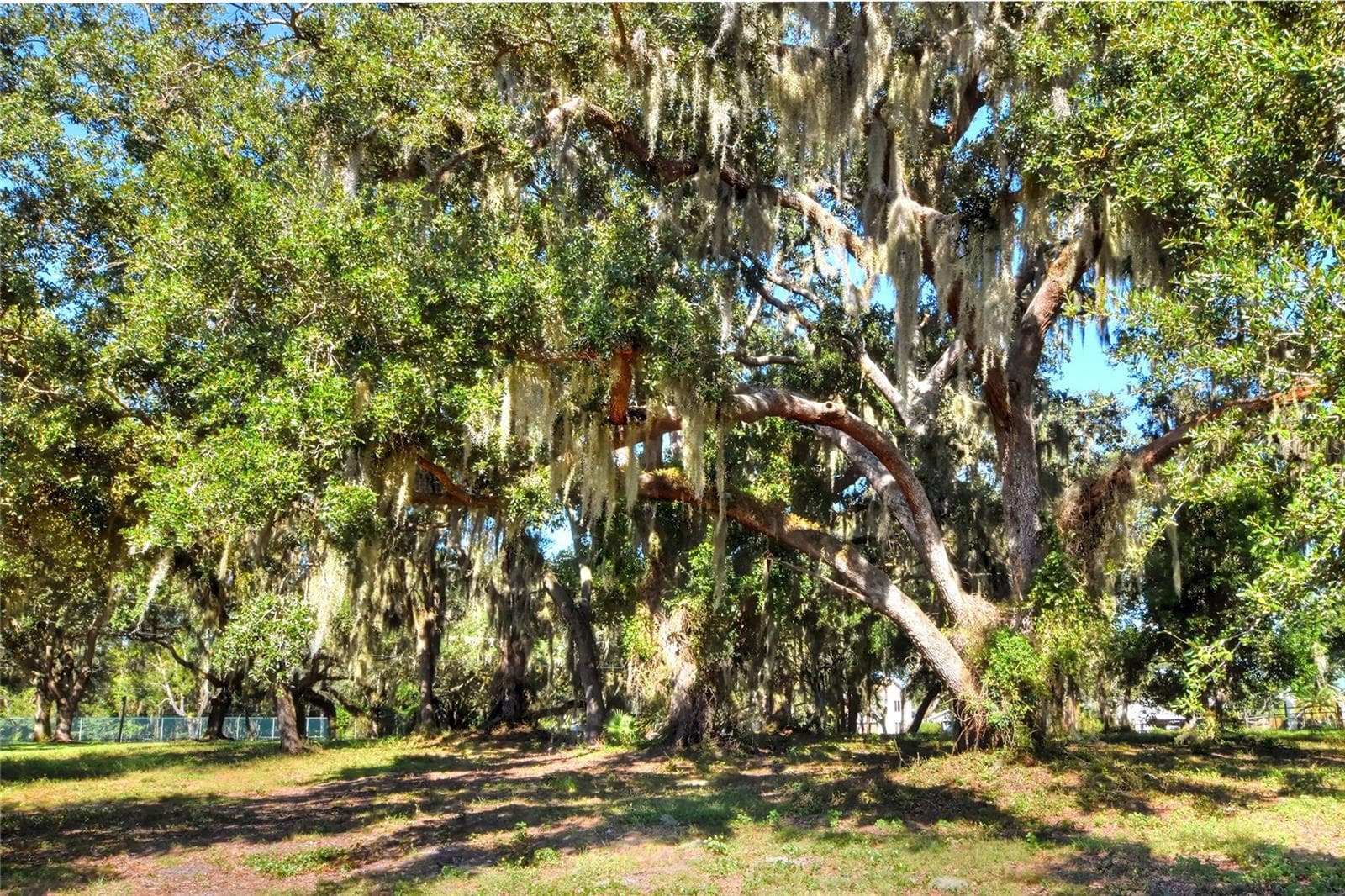 Land at MANGHAM RD, BABSON PARK, photo 13 of 16