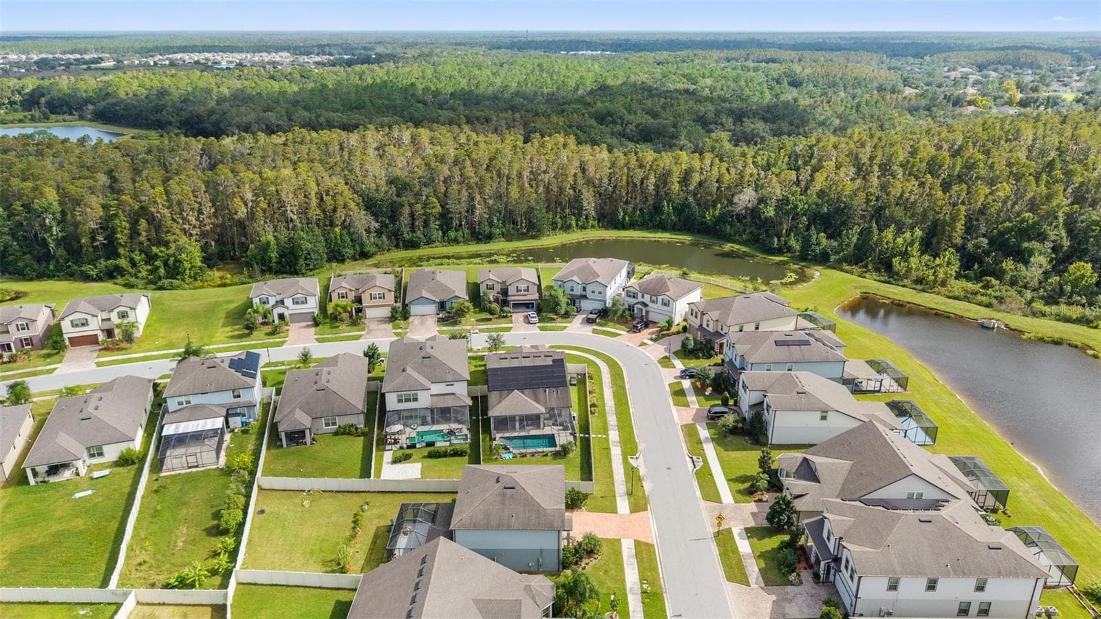 Aerial - 19234 MOSSY PINE DR, TAMPA