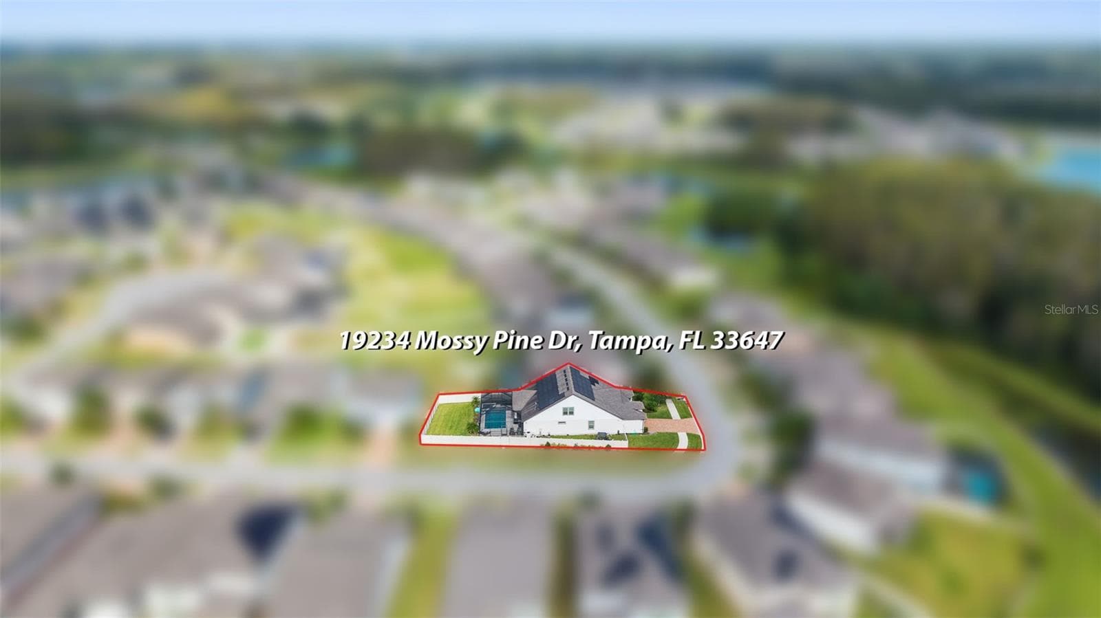 Aerial - 19234 MOSSY PINE DR, TAMPA