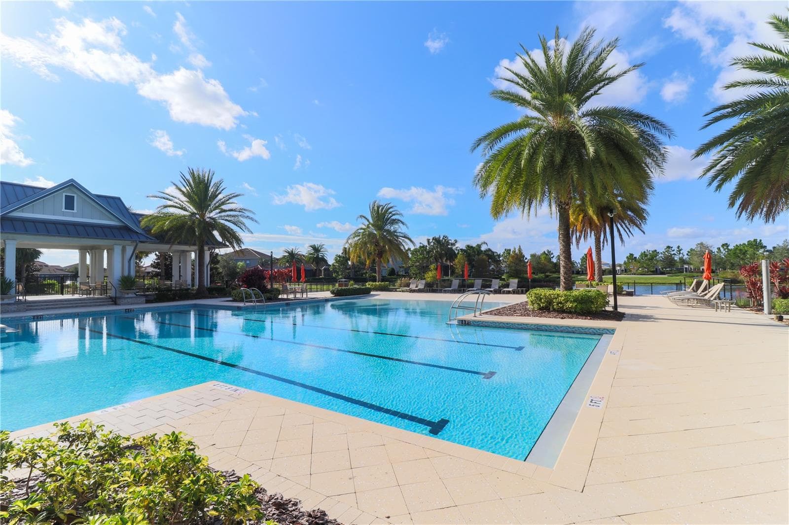 Lap Pool - 2501 AVOLET CT, LAKEWOOD RANCH