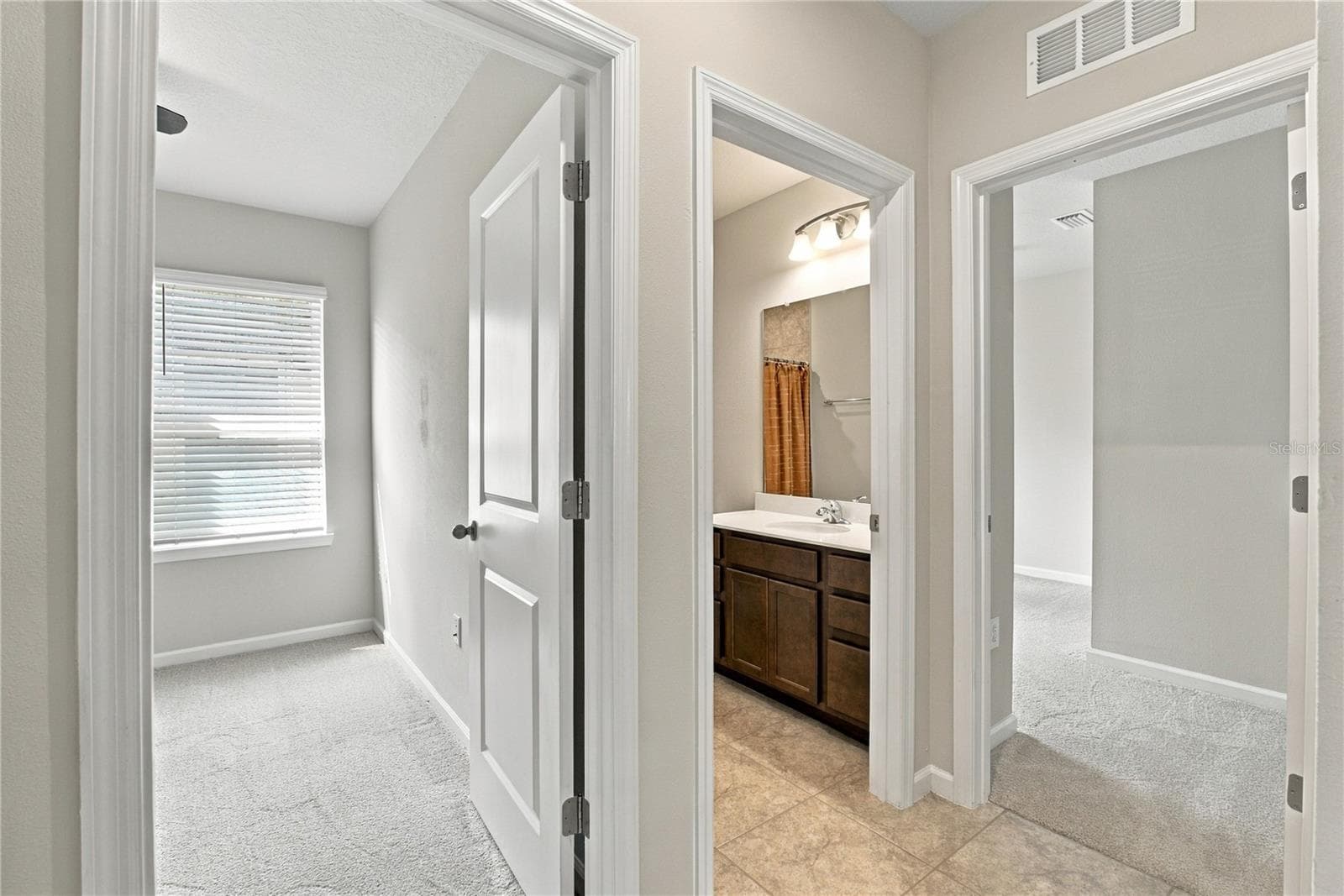 Hallway view with 2nd Bedroom and 2nd bath view - 17973 DAIRY FARM CT, LAND O LAKES