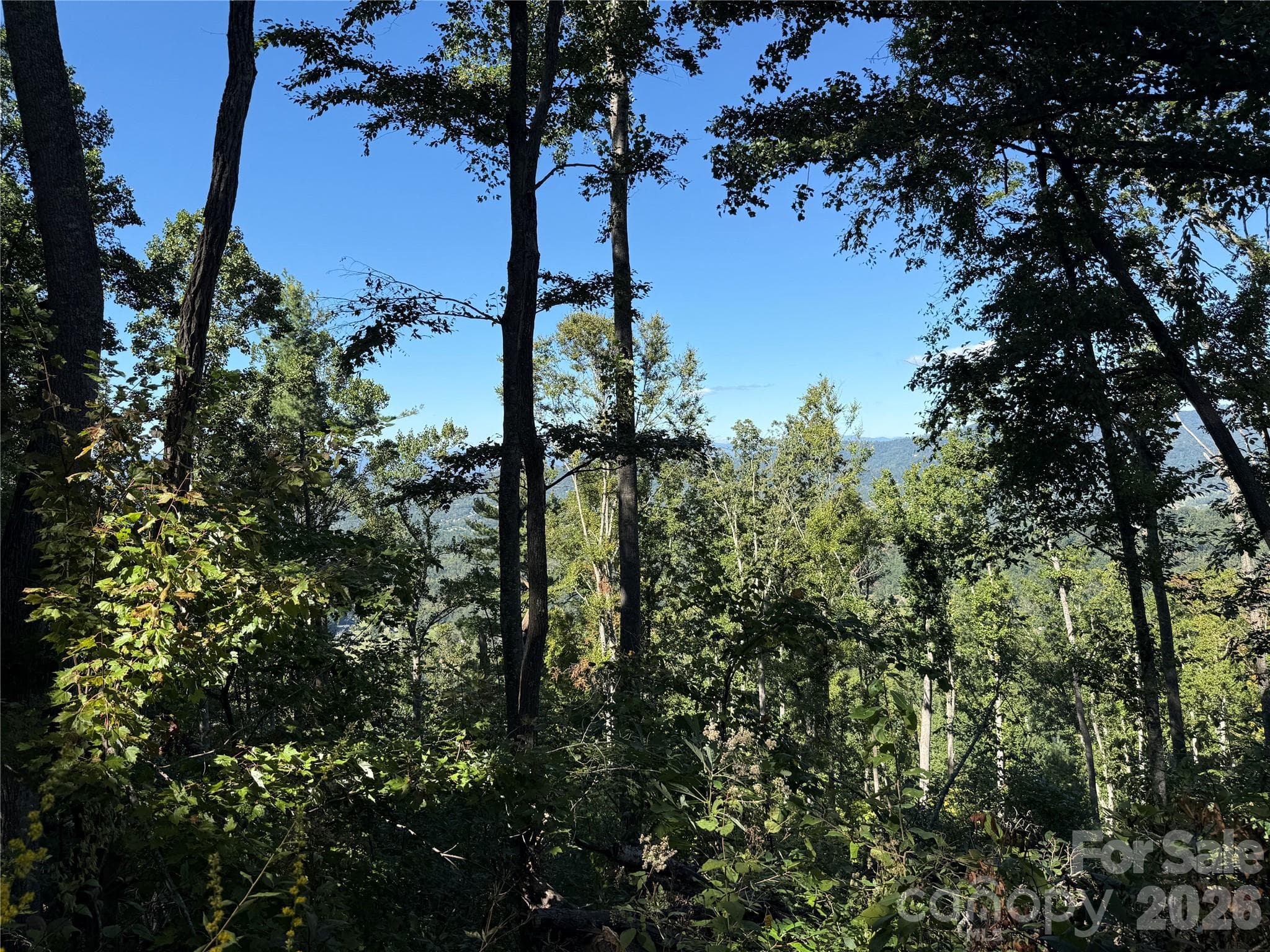 Lot at 9999 Elk Ridge Drive, Asheville, photo 3 of 20