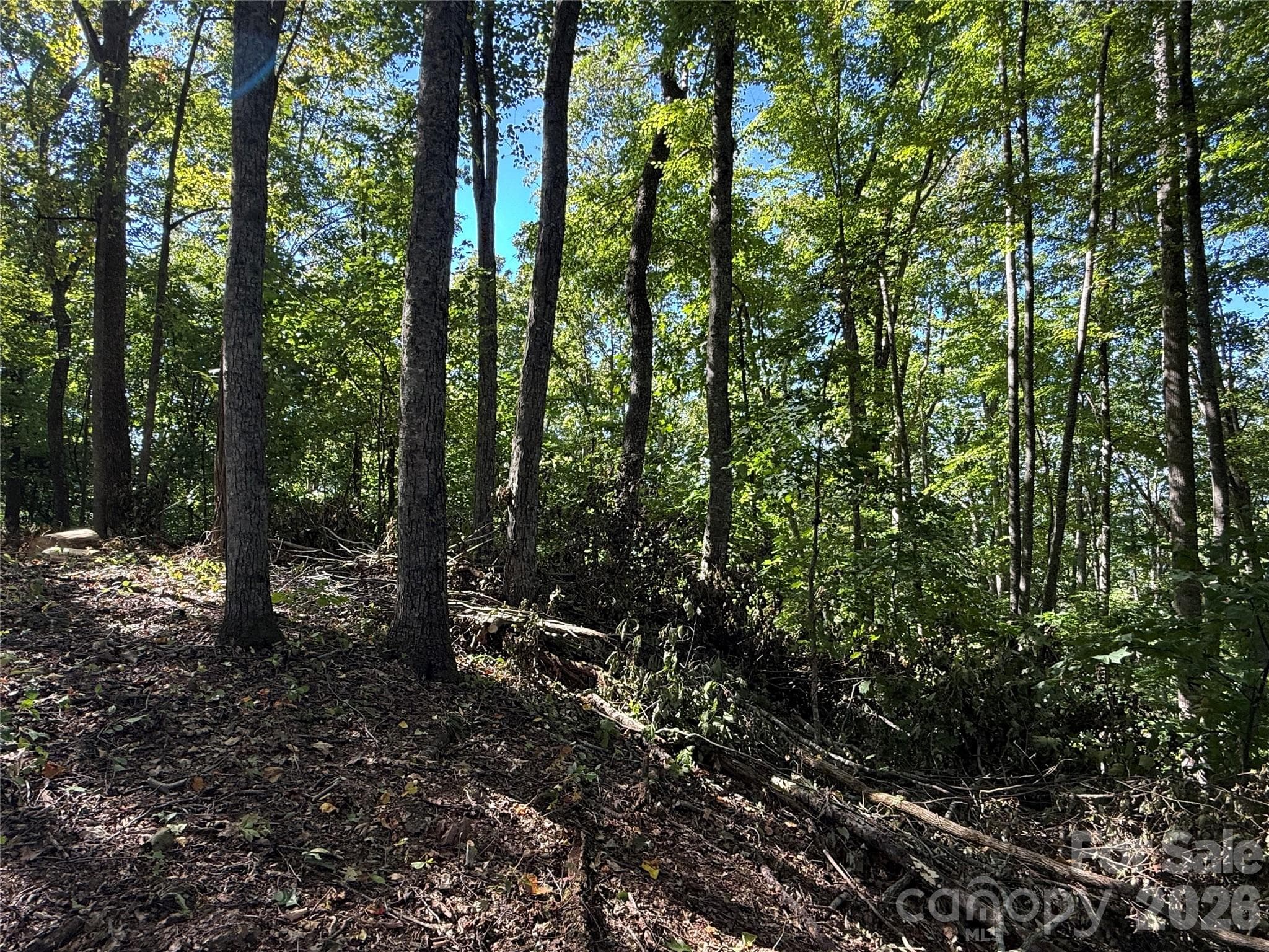 Lot at 9999 Elk Ridge Drive, Asheville, photo 4 of 20