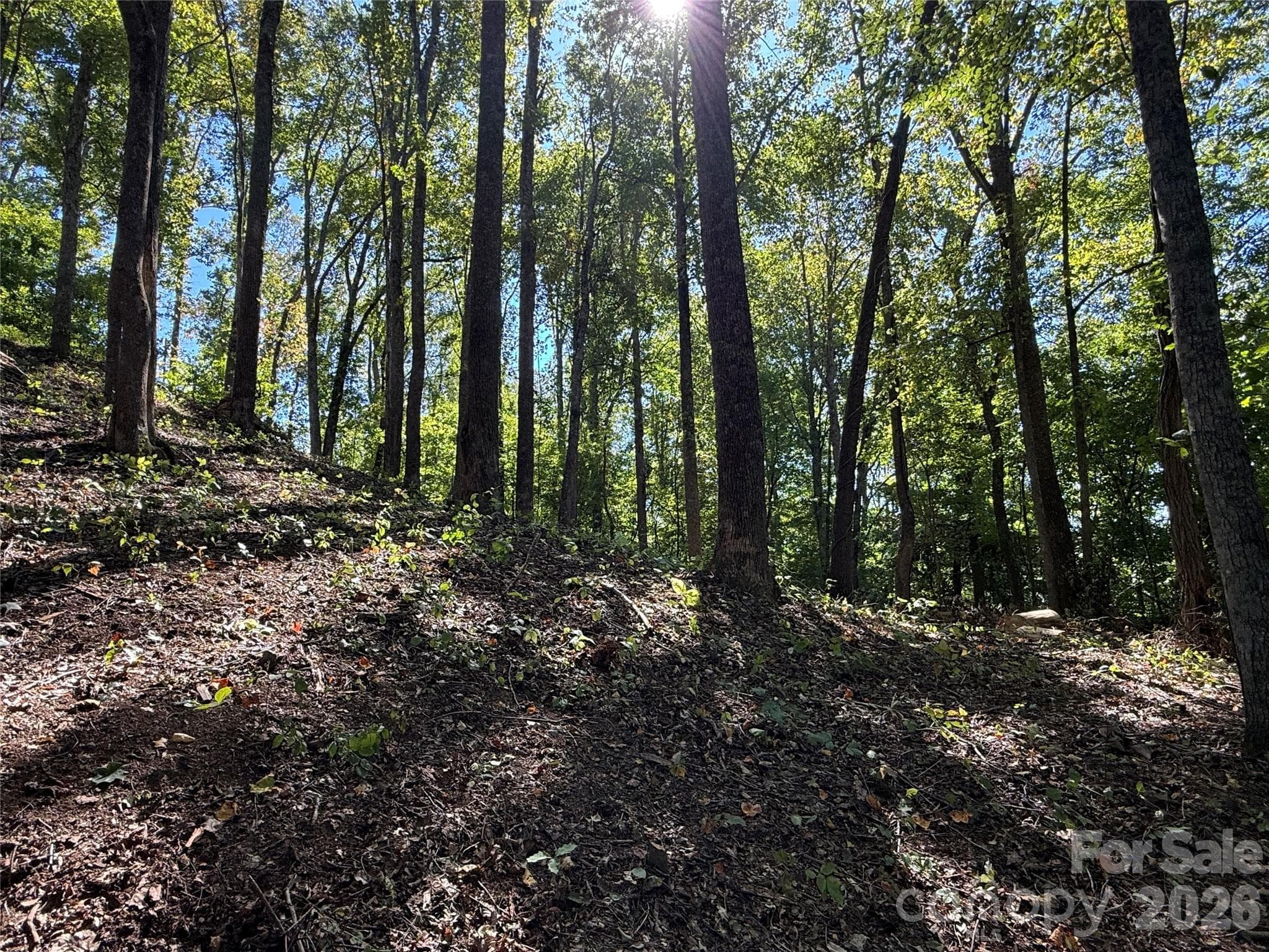 Lot at 9999 Elk Ridge Drive, Asheville, photo 5 of 20