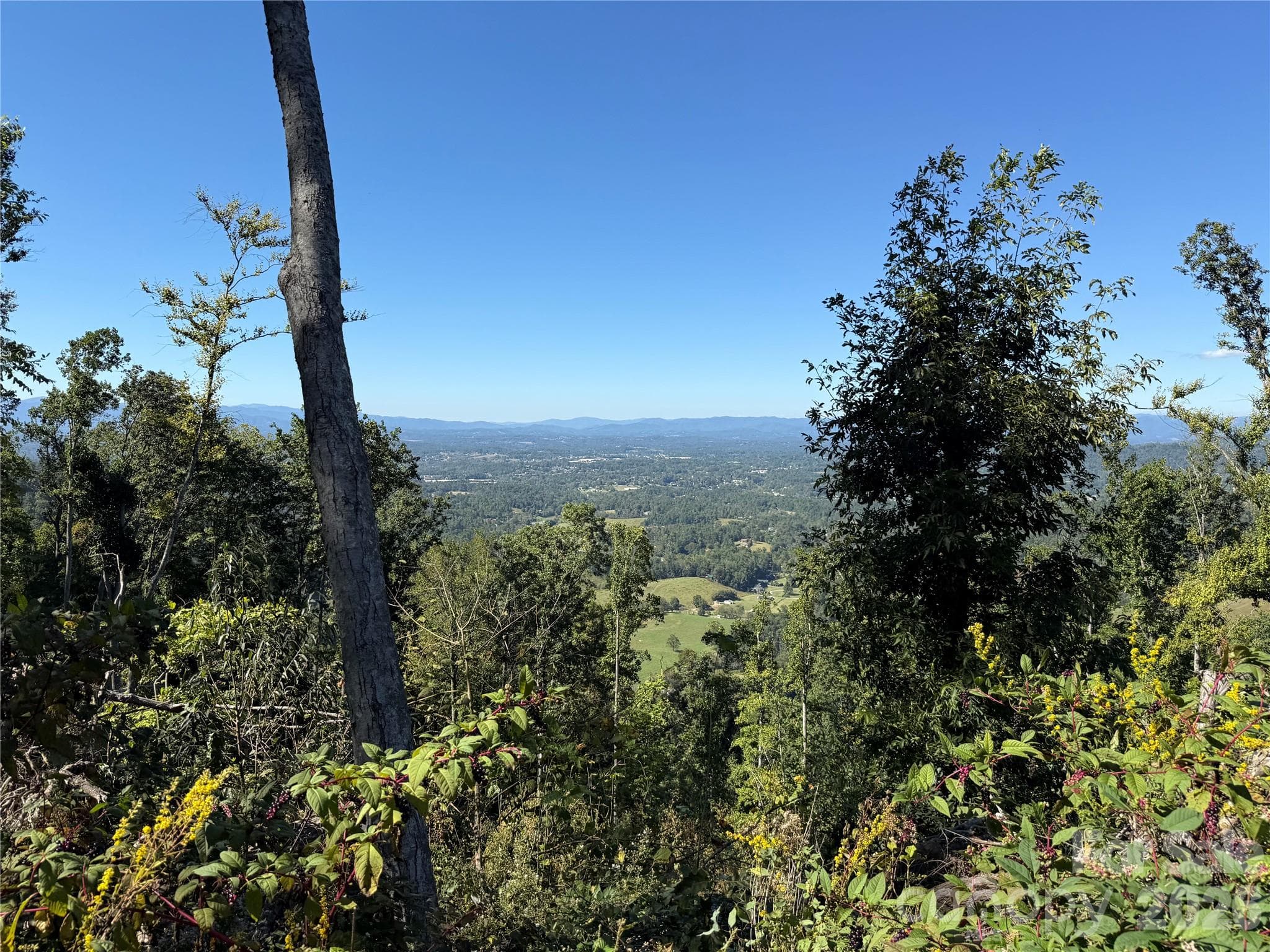 Lot at 9999 Elk Ridge Drive, Asheville, photo 6 of 20