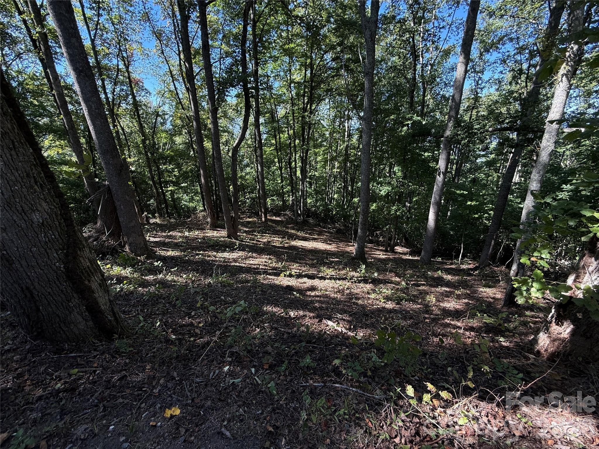 Lot at 9999 Elk Ridge Drive, Asheville, photo 14 of 20