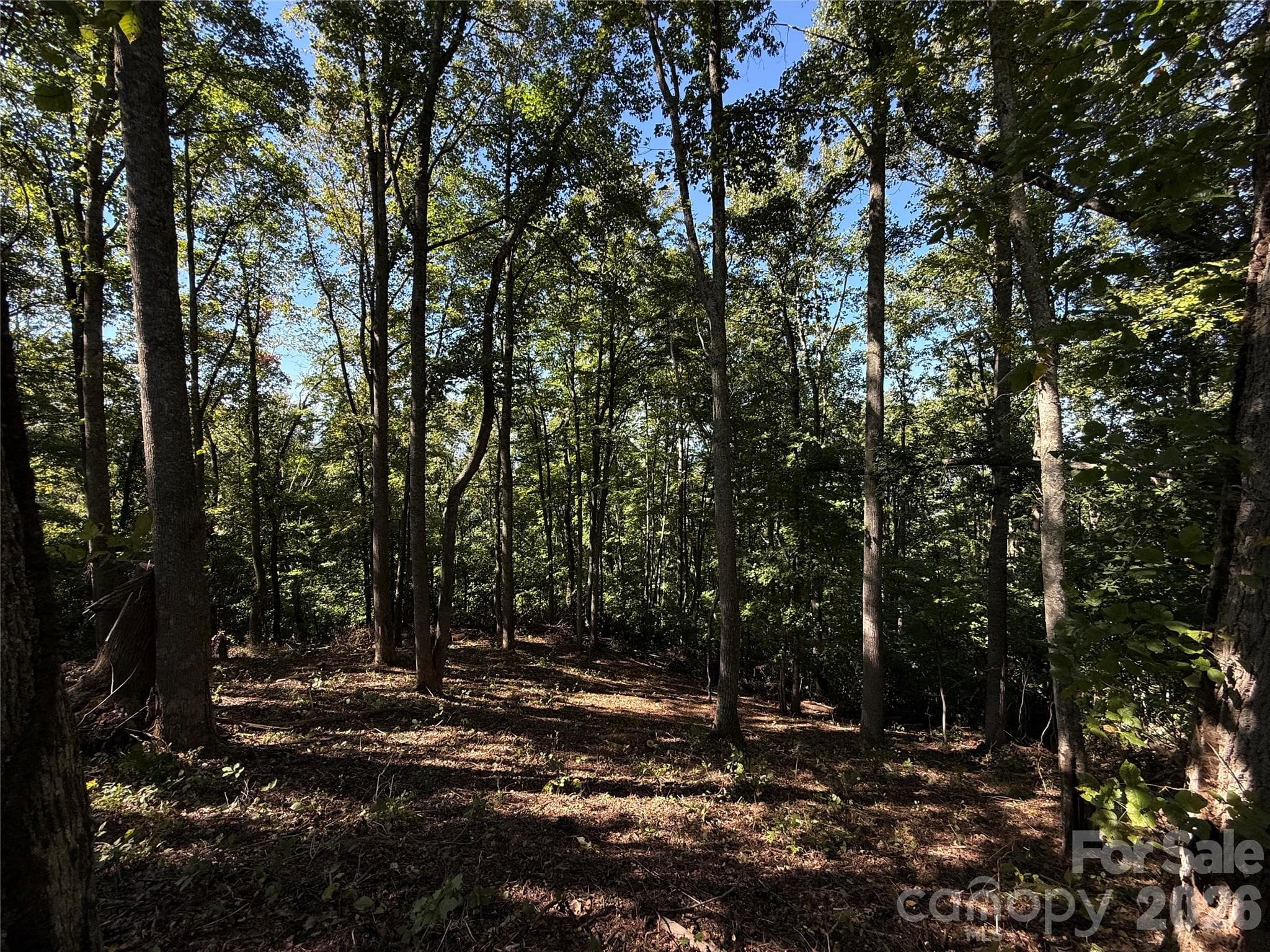 Lot at 9999 Elk Ridge Drive, Asheville, photo 15 of 20