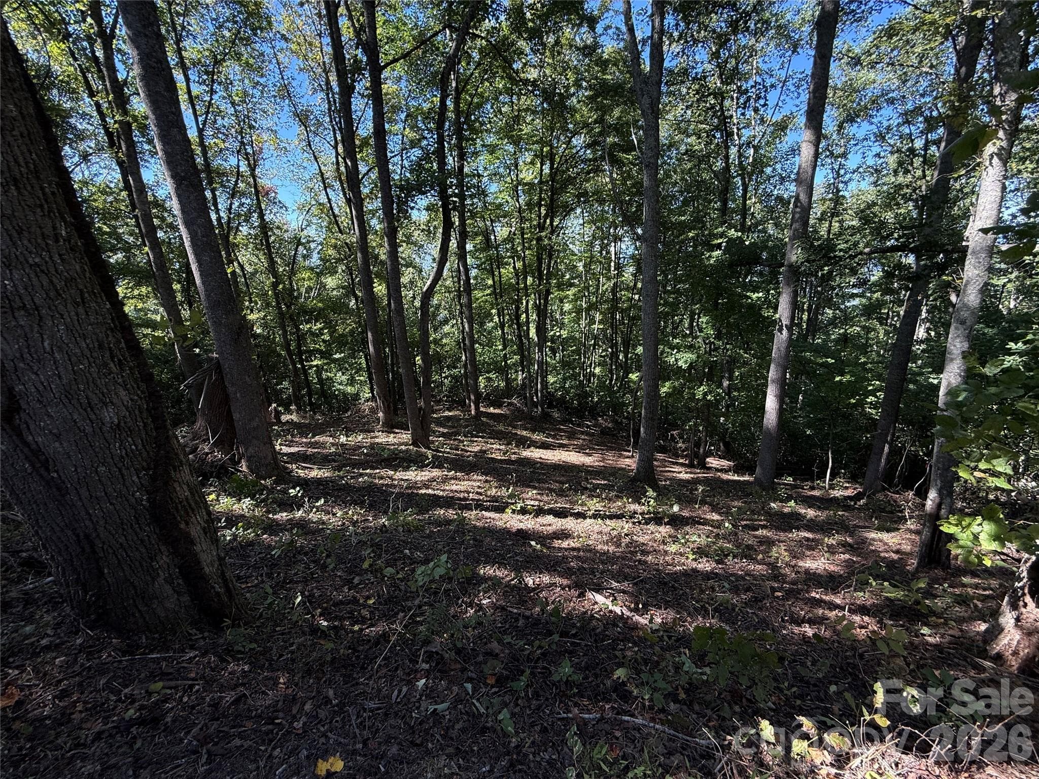 Lot at 9999 Elk Ridge Drive, Asheville, photo 16 of 20