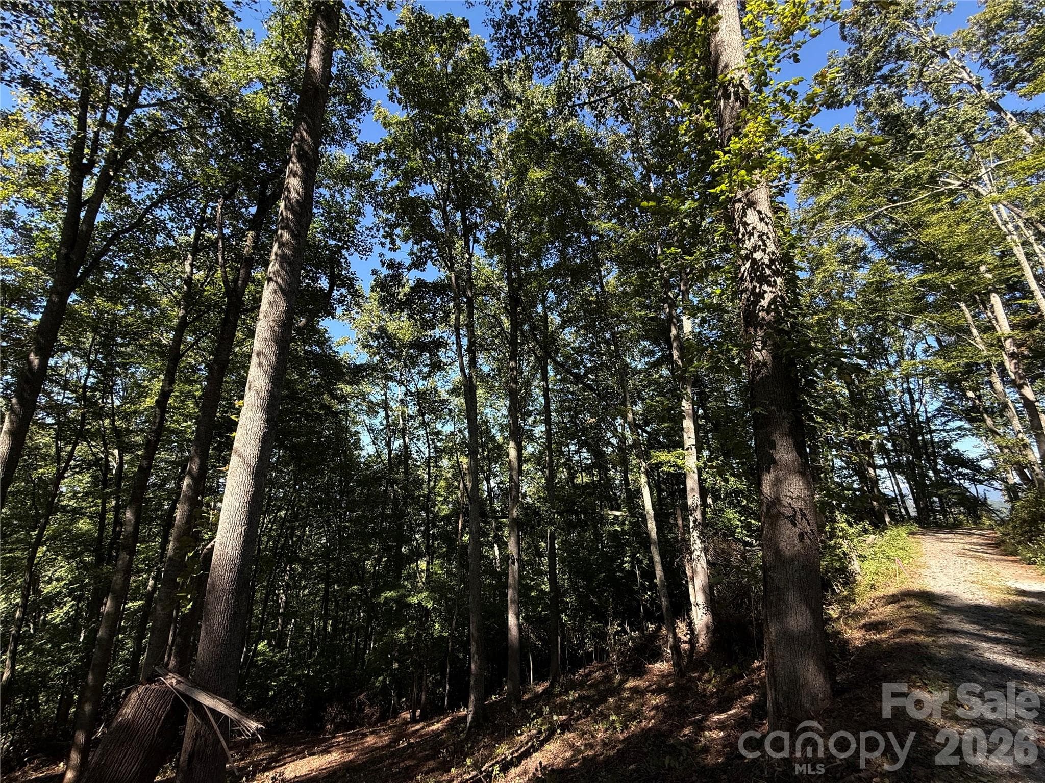 Lot at 9999 Elk Ridge Drive, Asheville, photo 17 of 20