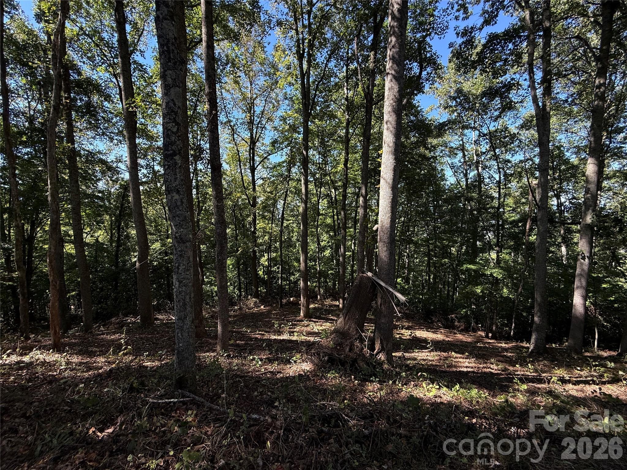 Lot at 9999 Elk Ridge Drive, Asheville, photo 18 of 20