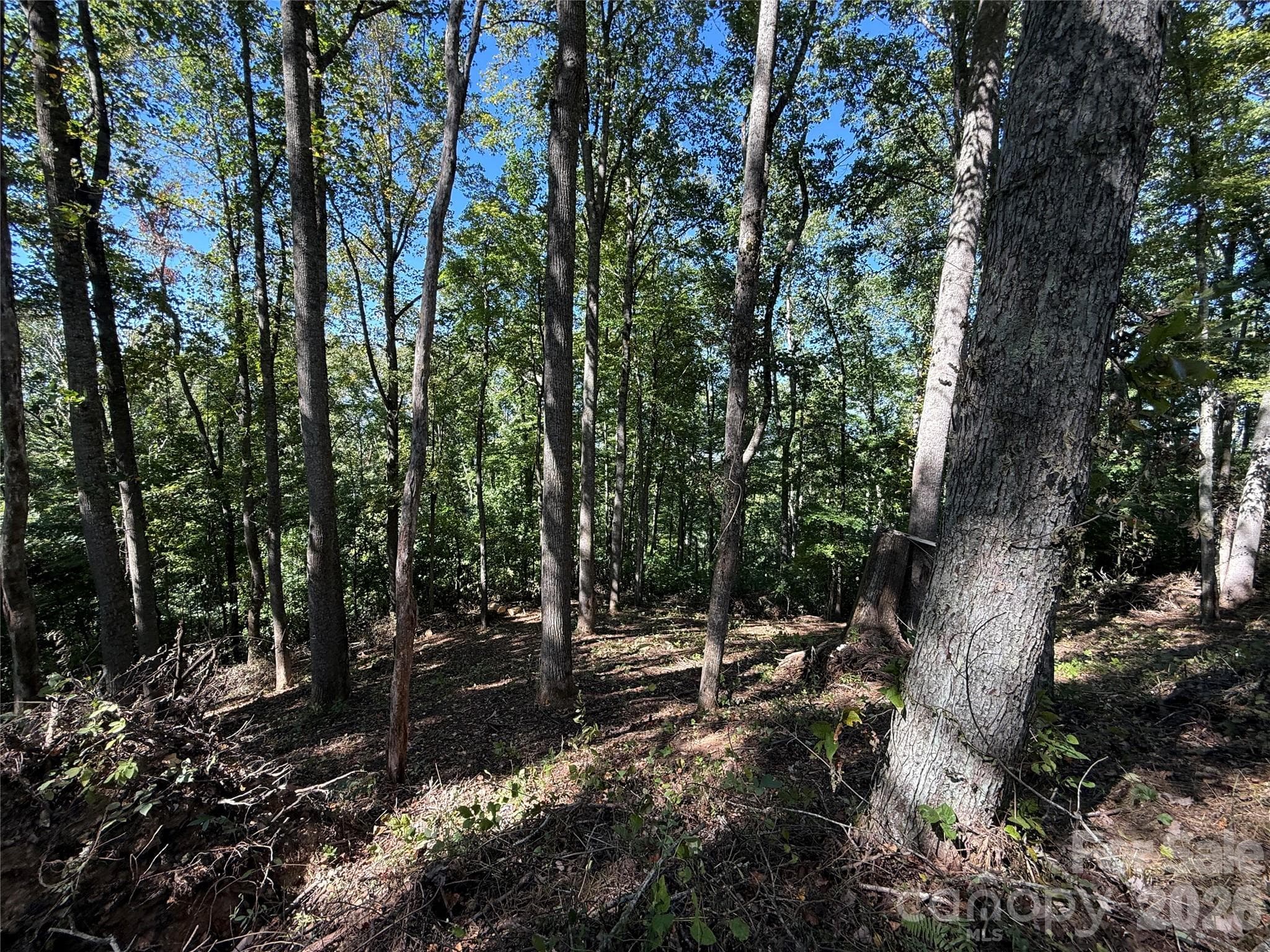 Lot at 9999 Elk Ridge Drive, Asheville, photo 19 of 20