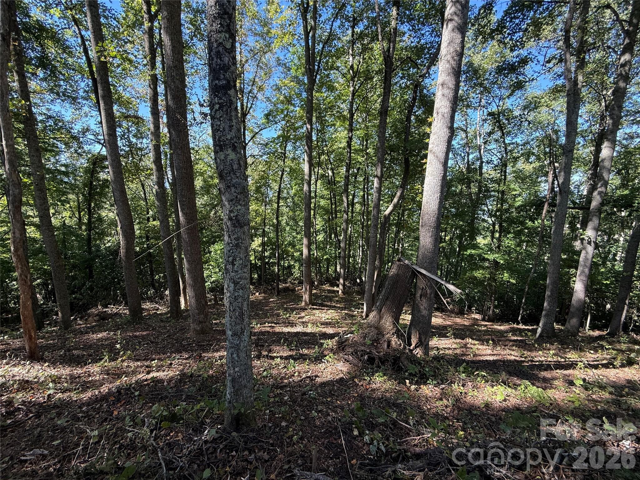 Lot at 9999 Elk Ridge Drive, Asheville, photo 20 of 20