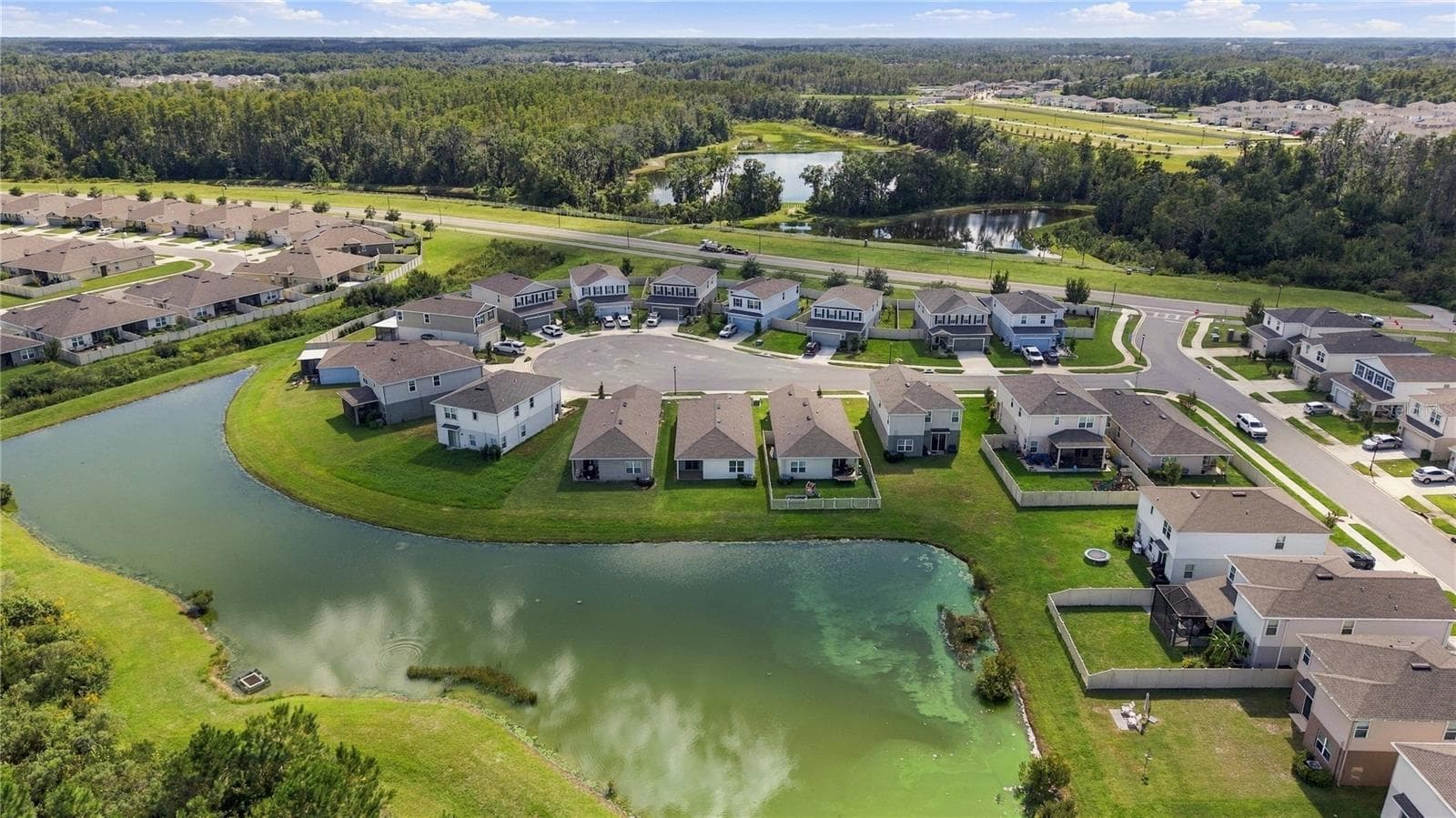 Drone View of Lake and Rear of Home showing Aerial View of Neighborhood from Conservation Perspective - 17973 DAIRY FARM CT, LAND O LAKES