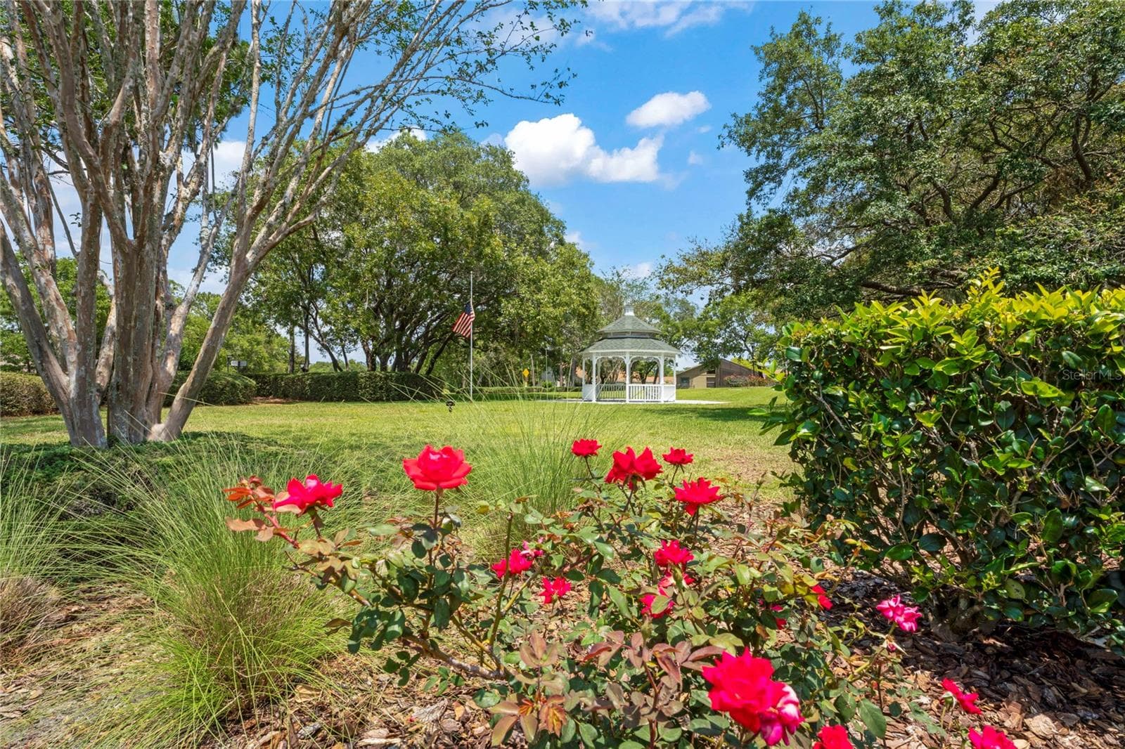 Single Family Residence at 11602 MCLEOD ST, SPRING HILL, photo 65 of 81