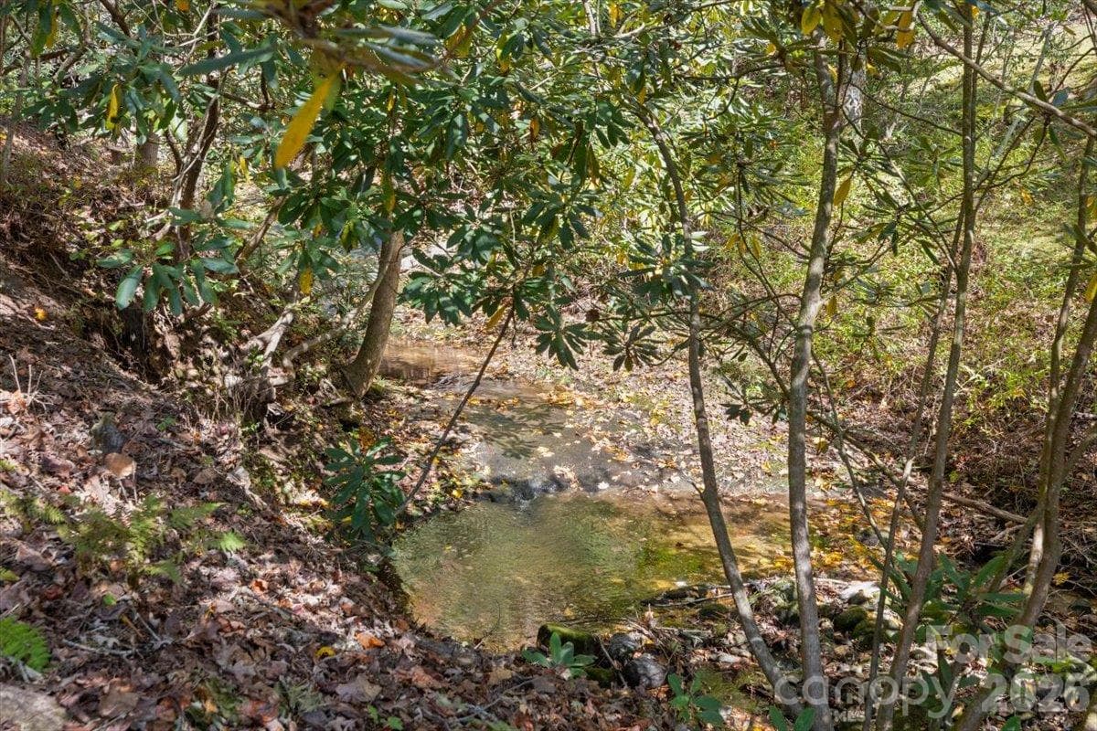 Creek - 85 Hillcrest Drive, Highlands
