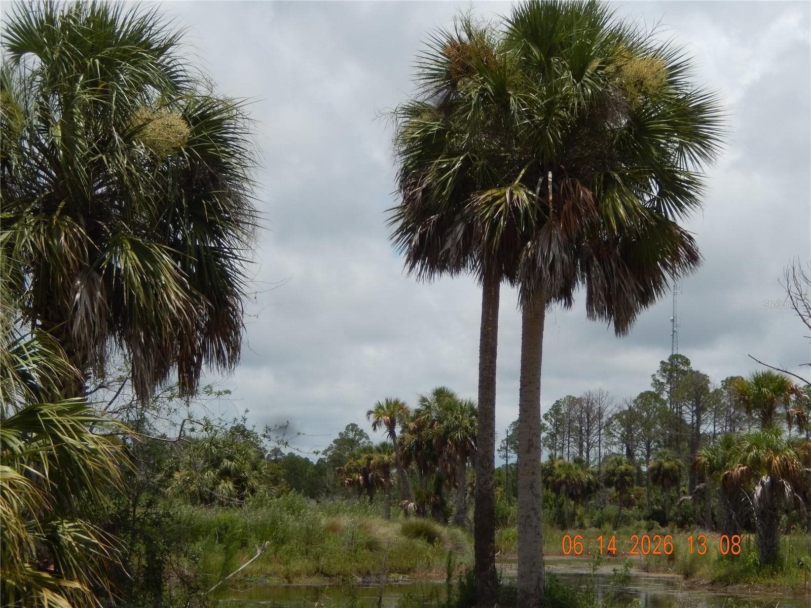 VIEW ALONG PLANTATION DRIVE - 00 SW 104 ST #LOT 7, CEDAR KEY