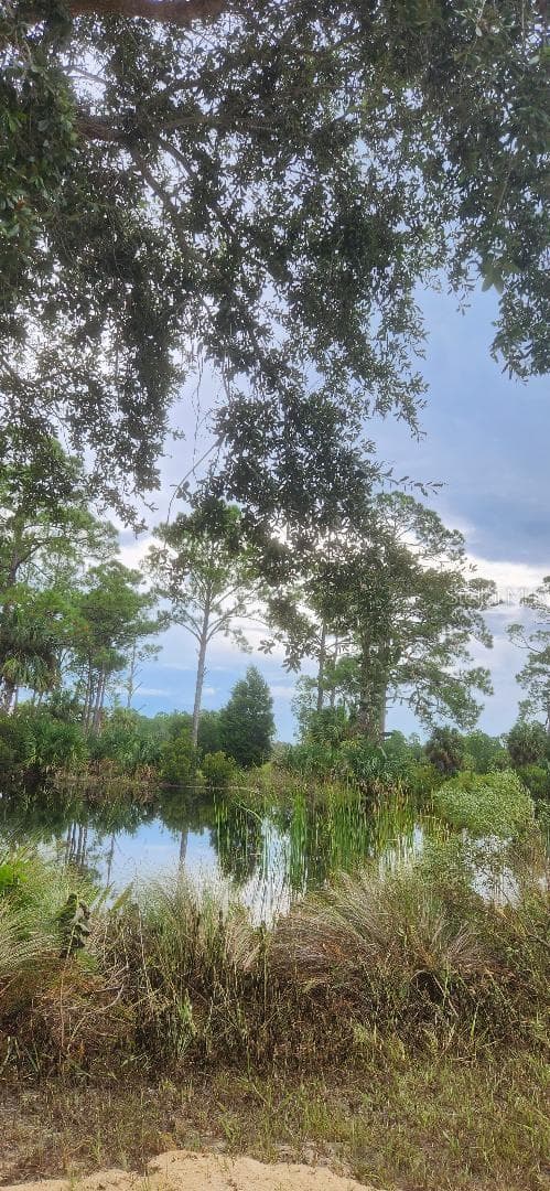 VIEW ALONG PLANTATION DRIVE - 00 SW 104 ST #LOT 7, CEDAR KEY