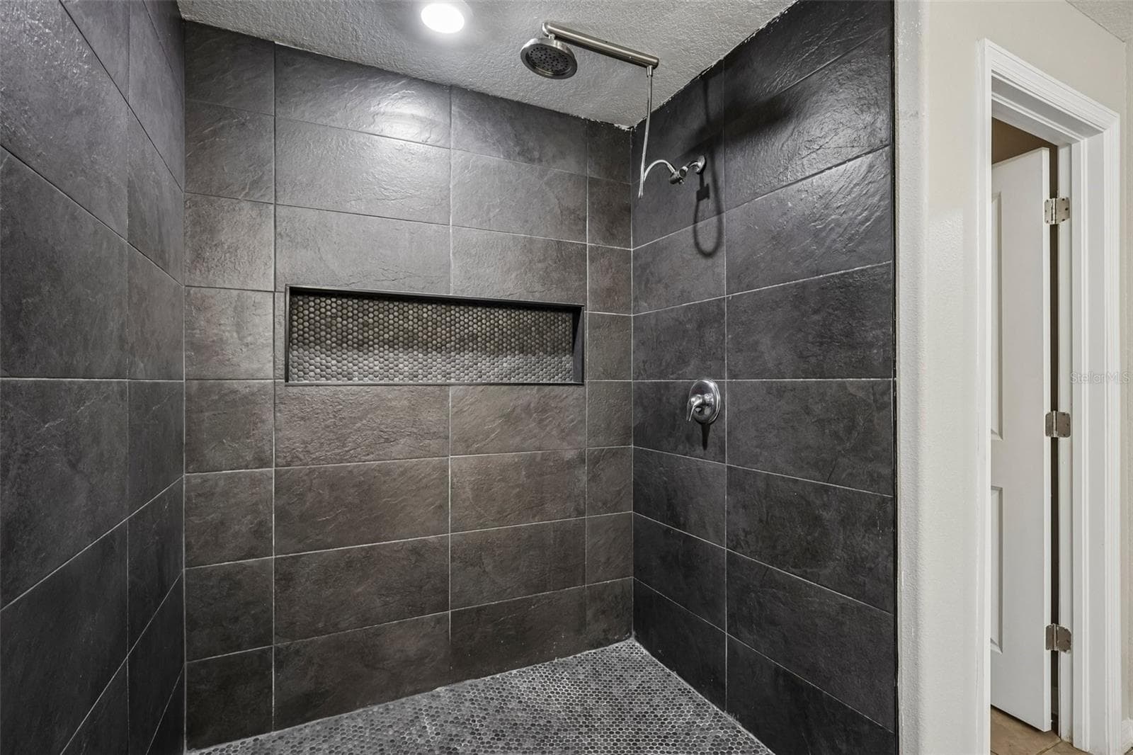 primary bath - 4103 GLOBE THISTLE DR, TAMPA