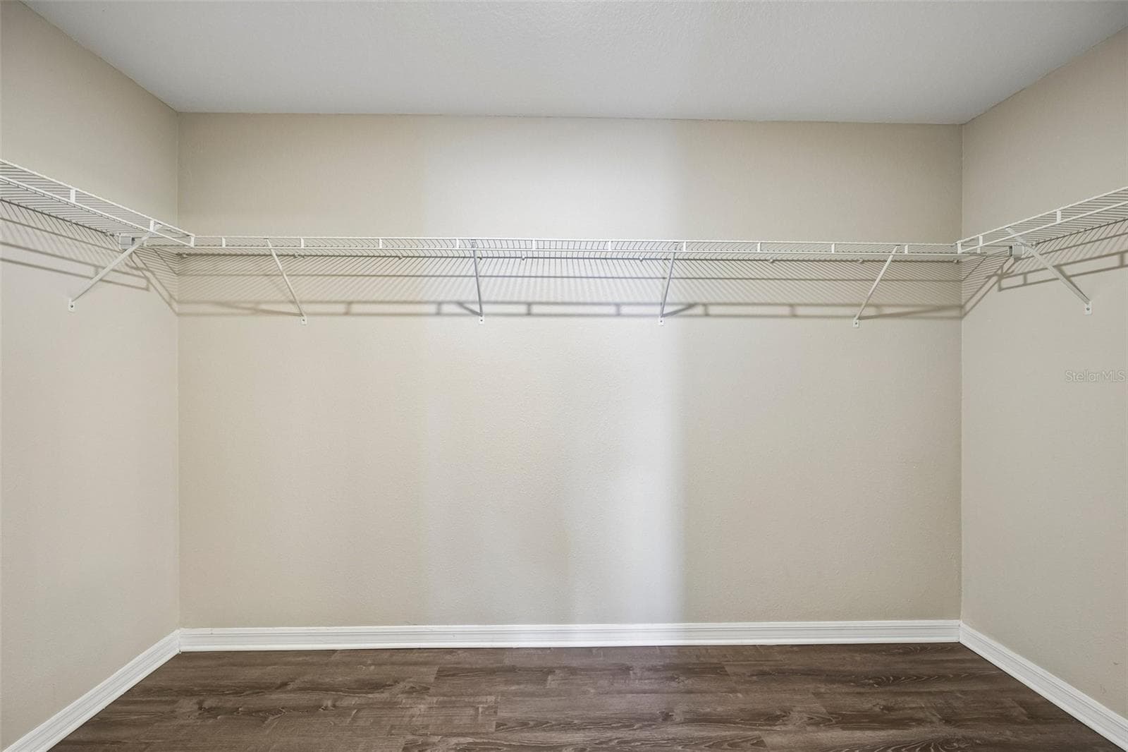 Walk in primary closet - 4103 GLOBE THISTLE DR, TAMPA