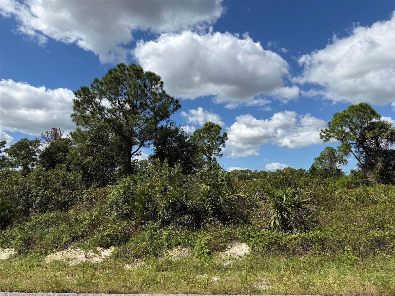 Land at 1203 PLUMOSA AVE #3, LEHIGH ACRES, photo 2 of 7