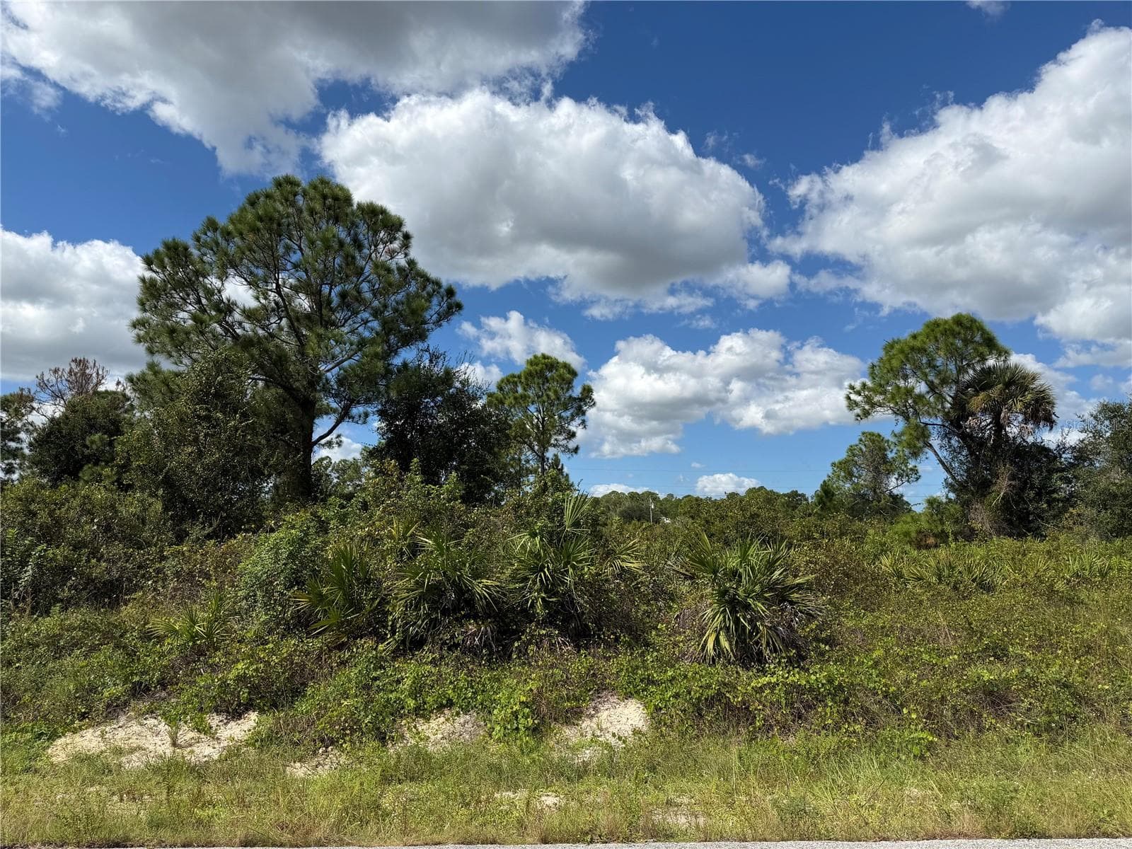 Land at 1203 PLUMOSA AVE #3, LEHIGH ACRES, photo 3 of 7