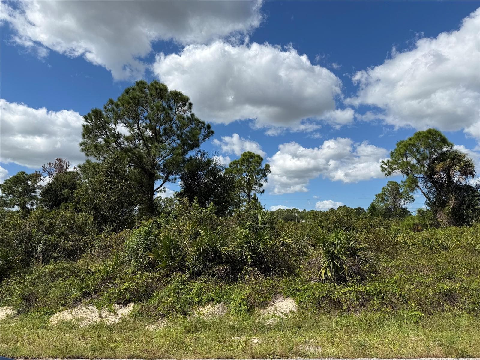 Land at 1203 PLUMOSA AVE #3, LEHIGH ACRES, photo 4 of 7