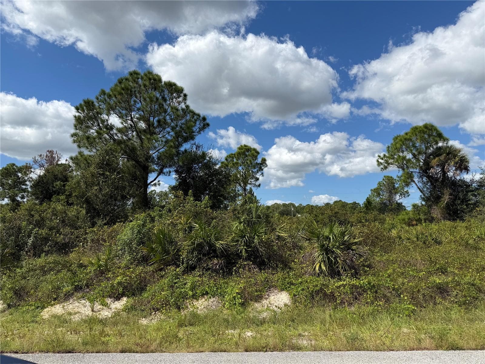 Land at 1203 PLUMOSA AVE #3, LEHIGH ACRES, photo 5 of 7