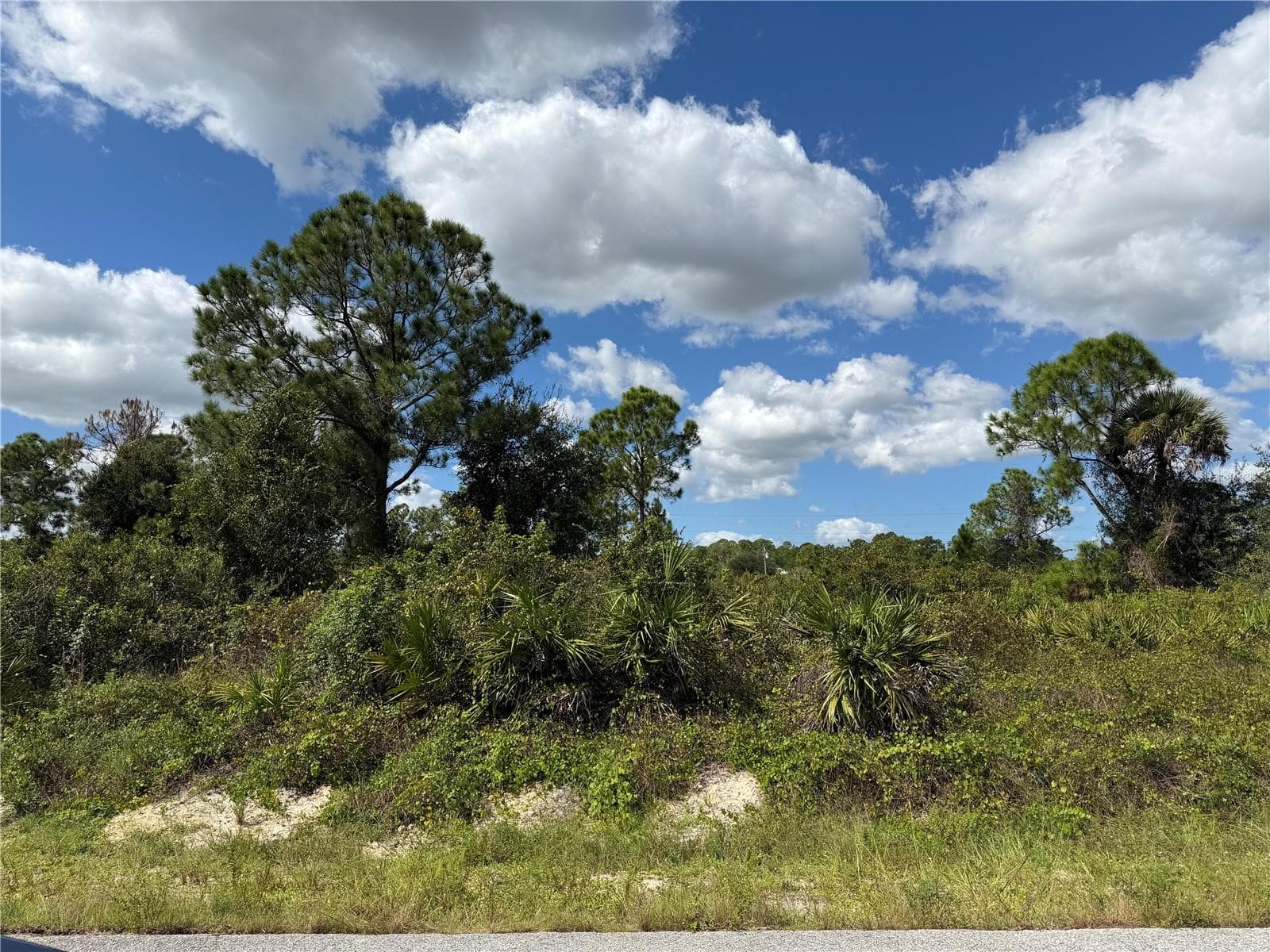 Land at 1203 PLUMOSA AVE #3, LEHIGH ACRES, photo 6 of 7