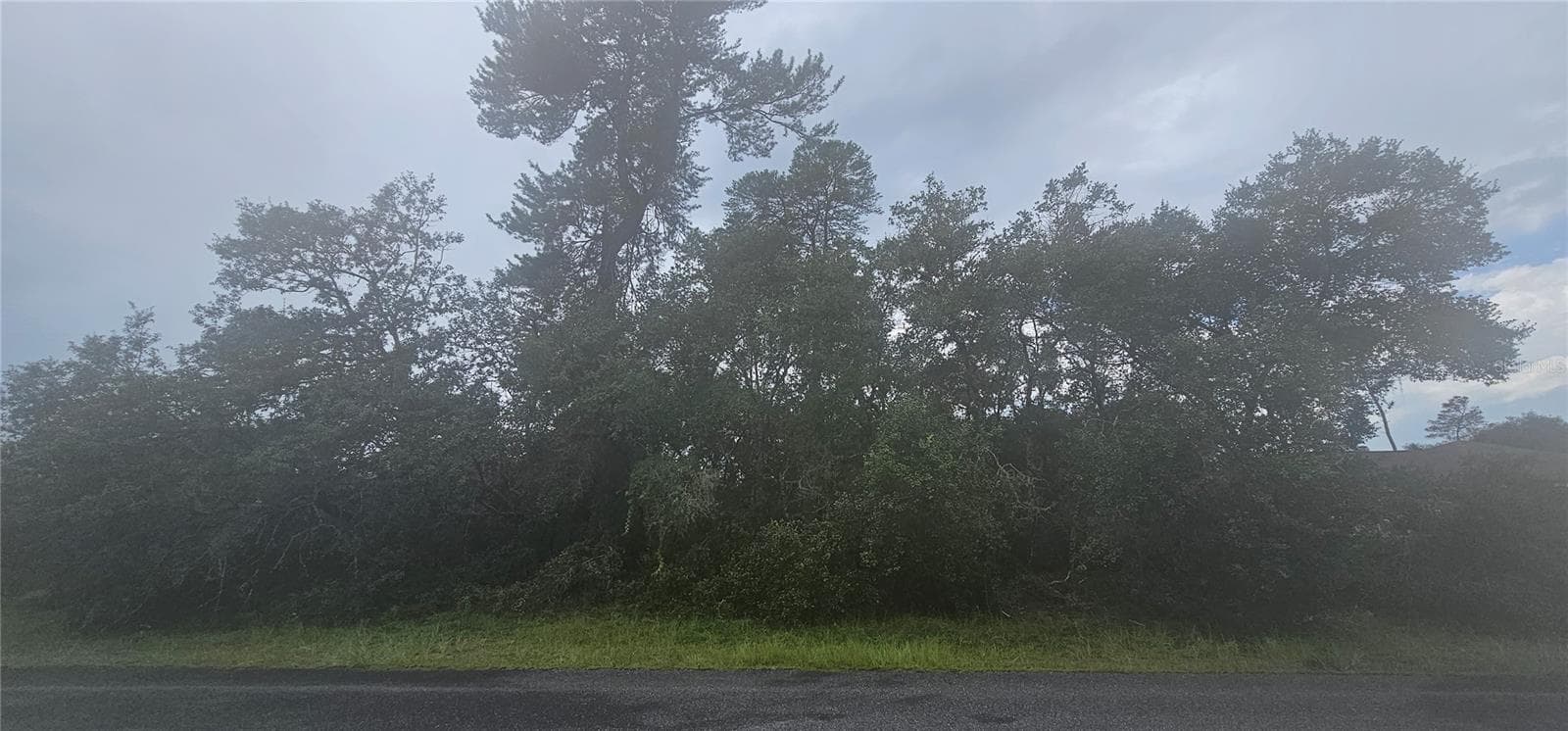 Land at SW 24TH CIR, OCALA, photo 3 of 5
