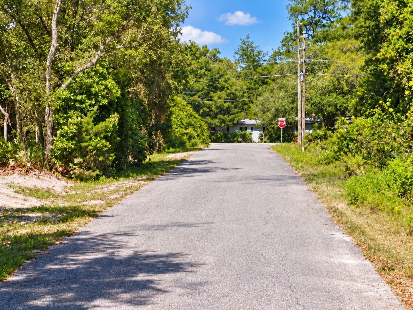 Land at Lot 12 NW 12TH LN, OCALA, photo 11 of 11