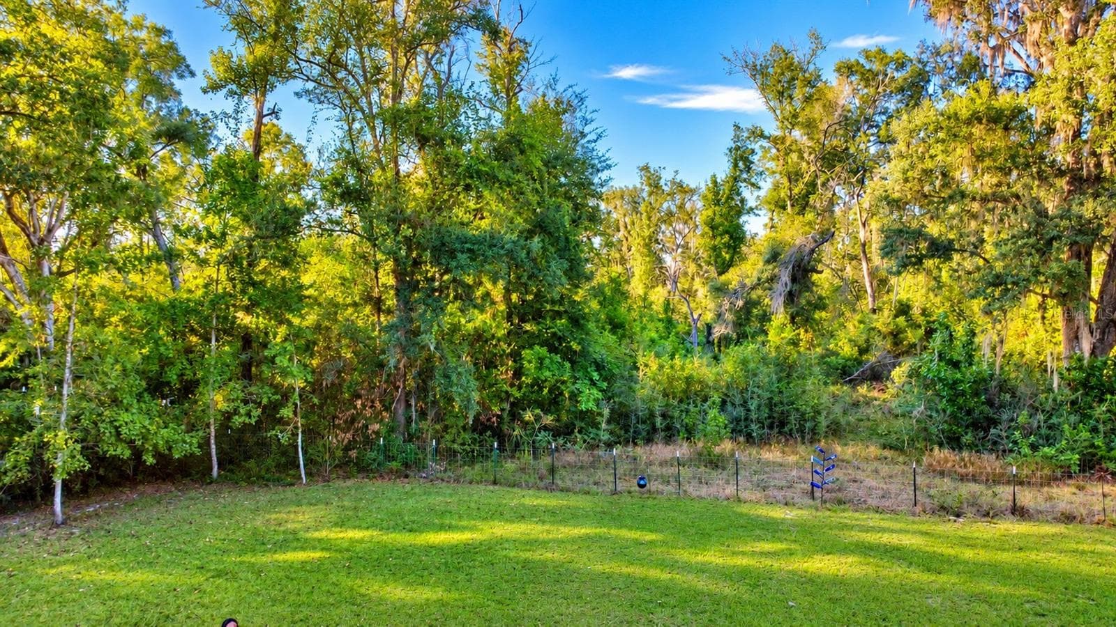 back of property - 455 NE 112TH AVE, OLD TOWN