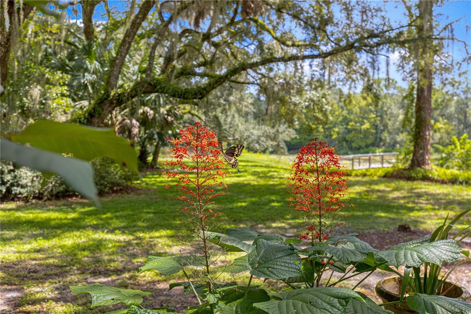 Flowers and a butterfly in the garden, with the waterfront beyond. - 7434 E CABIN LN, INVERNESS