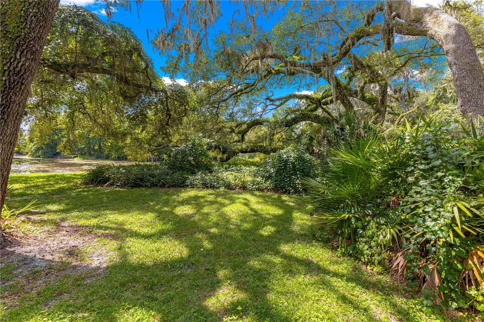 Mature trees and natural vegetation across the grounds. - 7434 E CABIN LN, INVERNESS