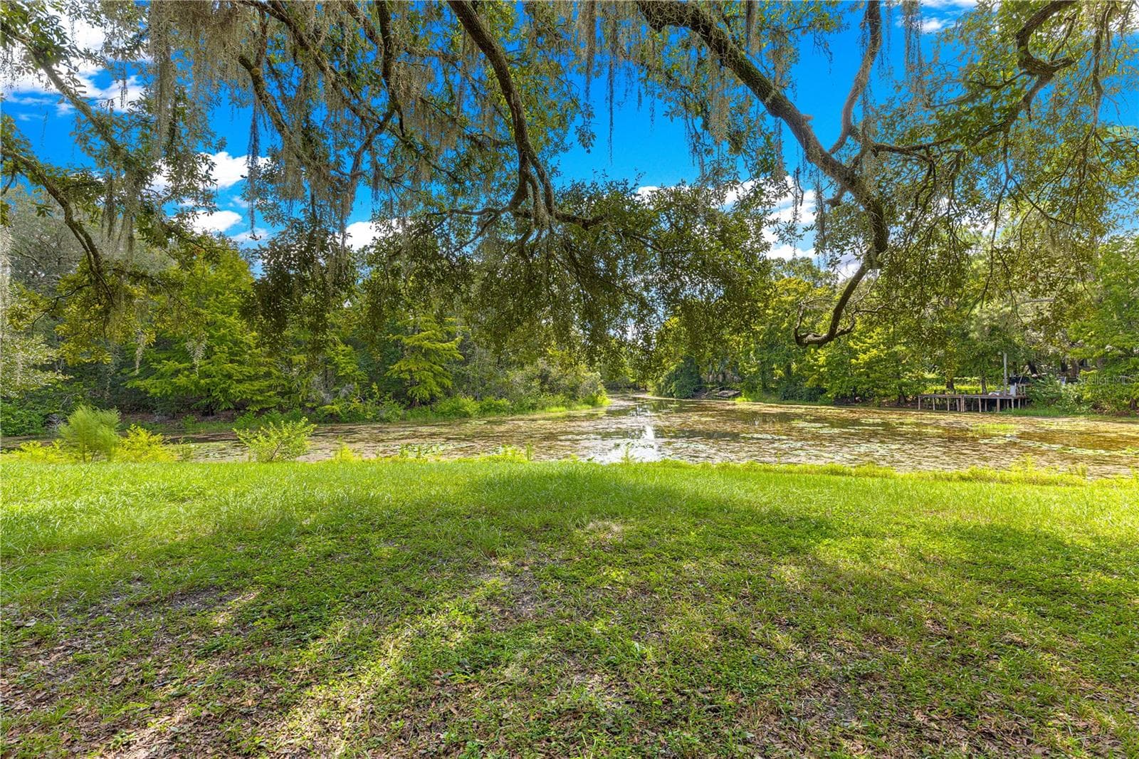 Canal-side lawn and shoreline vegetation. - 7434 E CABIN LN, INVERNESS