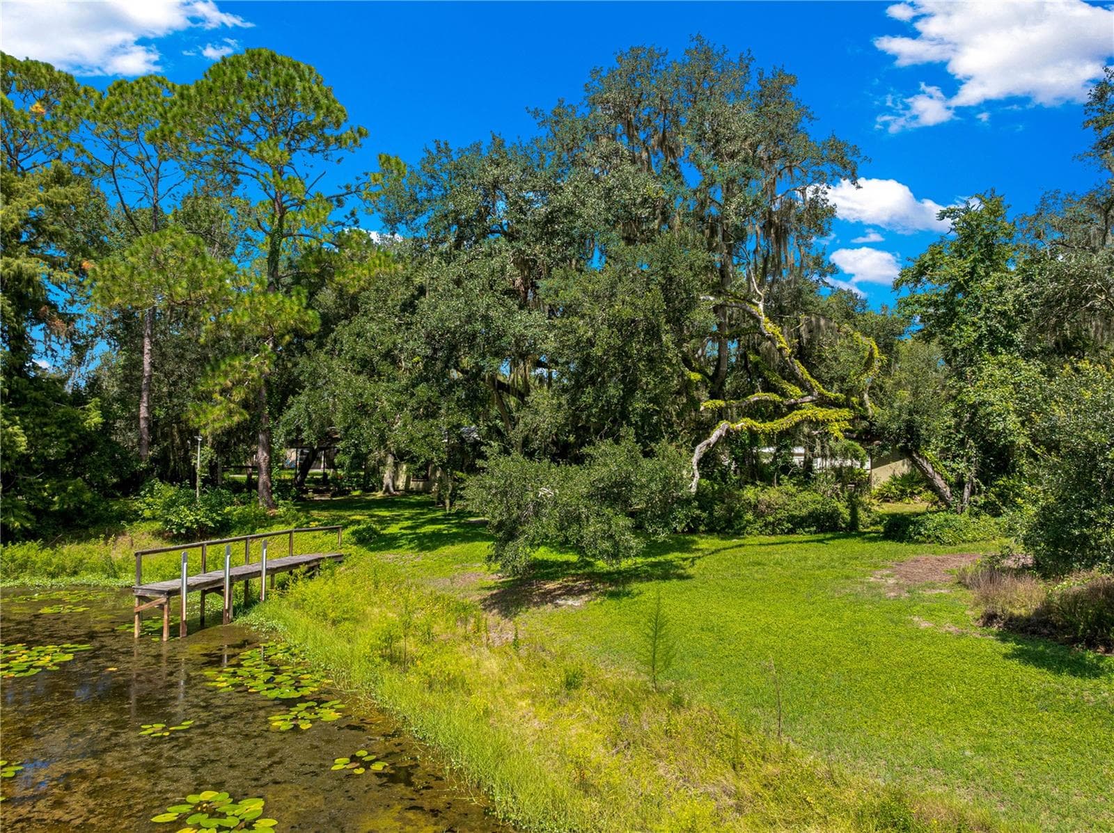 #6 · Elevated view of the dock, shoreline and trees. - 7434 E CABIN LN, INVERNESS