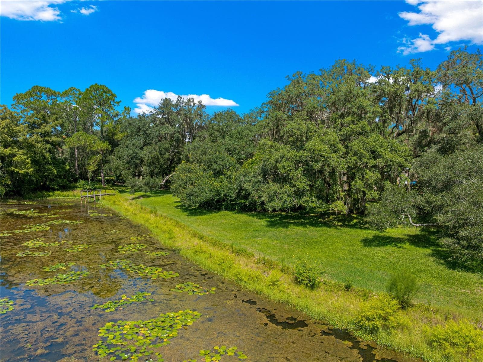 Elevated shoreline view and aquatic vegetation. - 7434 E CABIN LN, INVERNESS