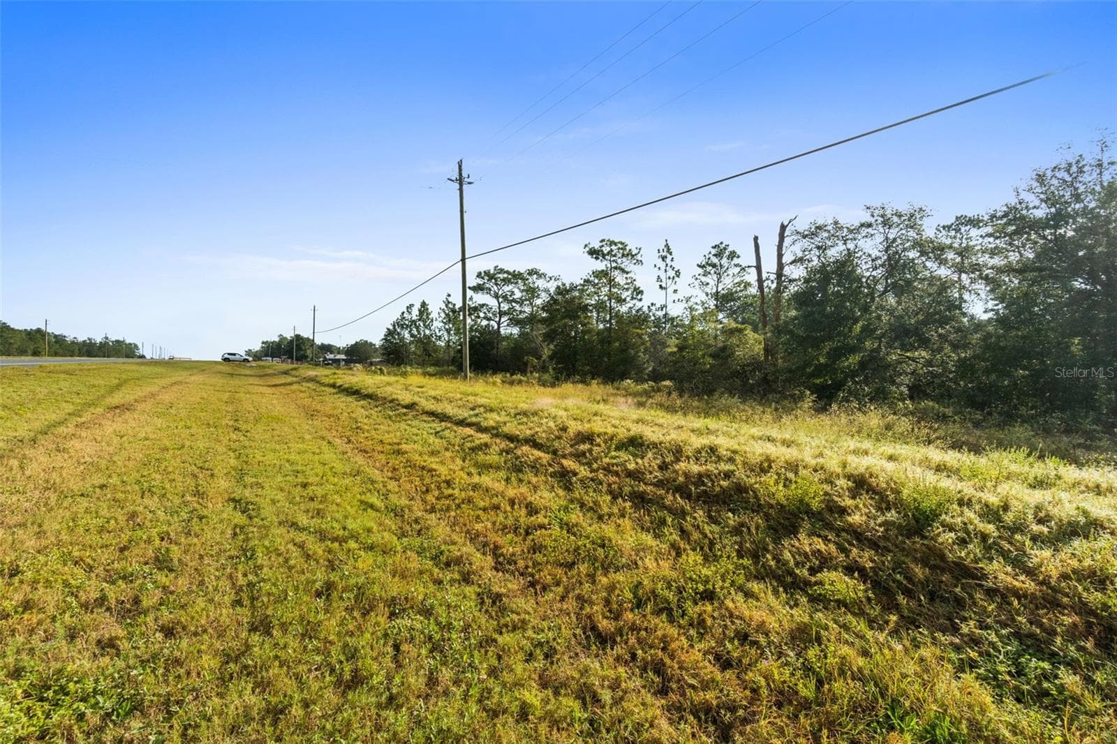 Land at 5201 HIGHWAY 77, CHIPLEY, photo 8 of 16