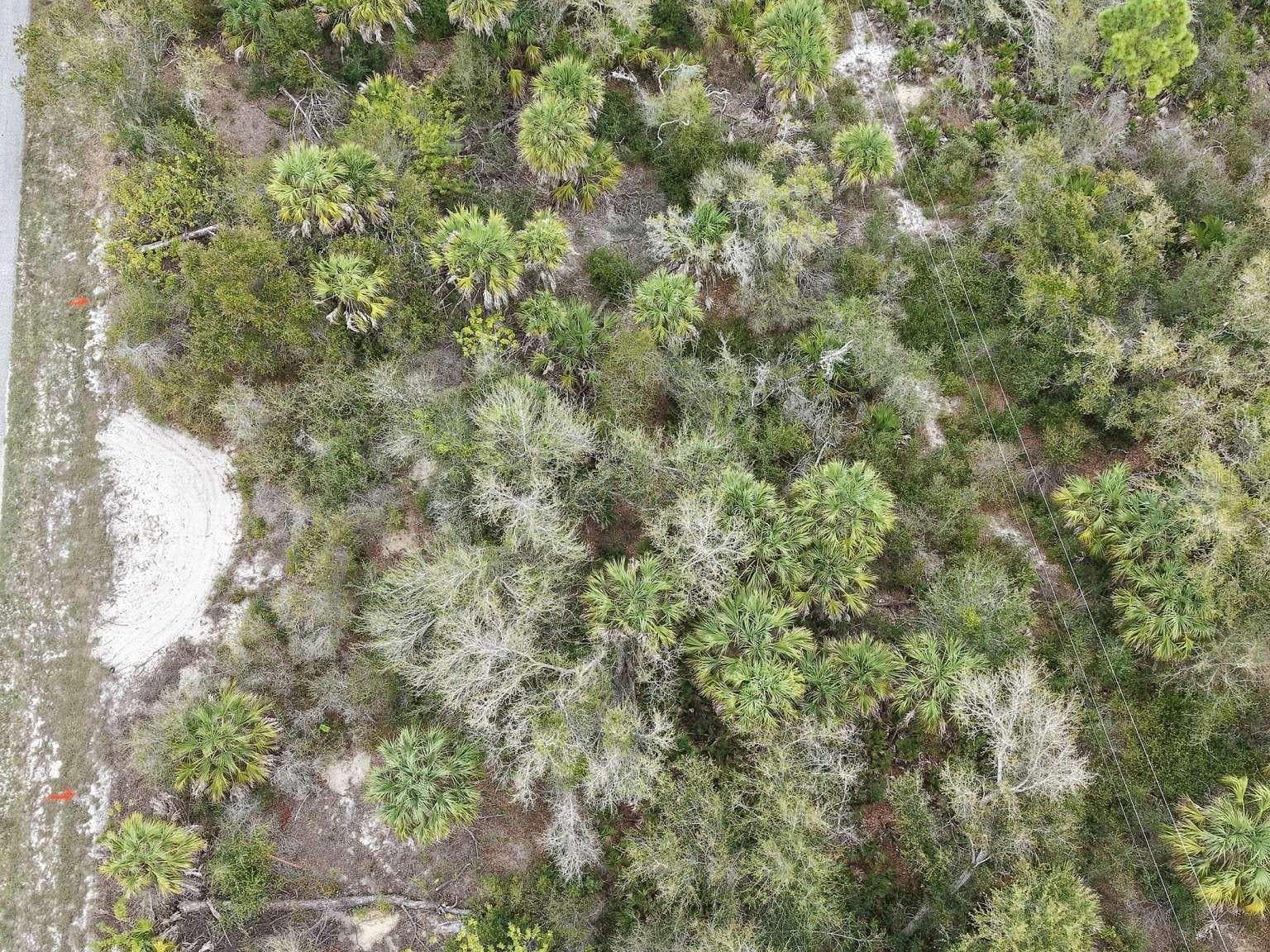 Overhead view of the lot vegetation. - 14315 WHITESIDES AVE, PORT CHARLOTTE