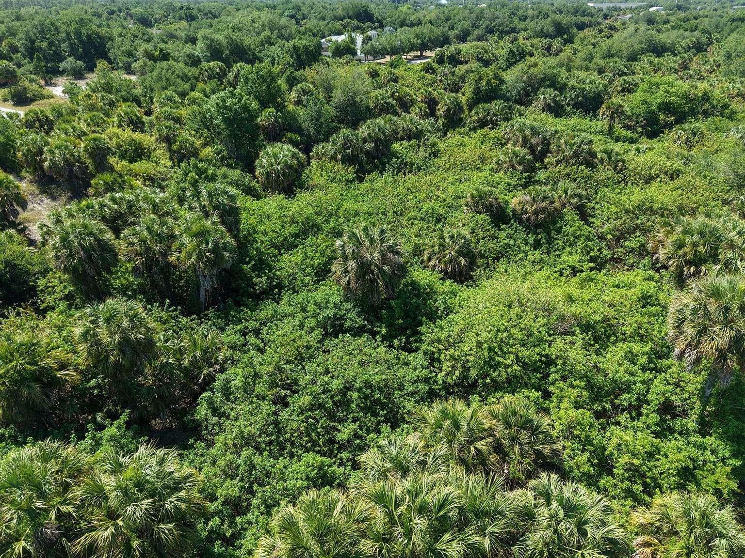 Aerial view of the lot and surrounding area. - 60 DENVER DR, PORT CHARLOTTE