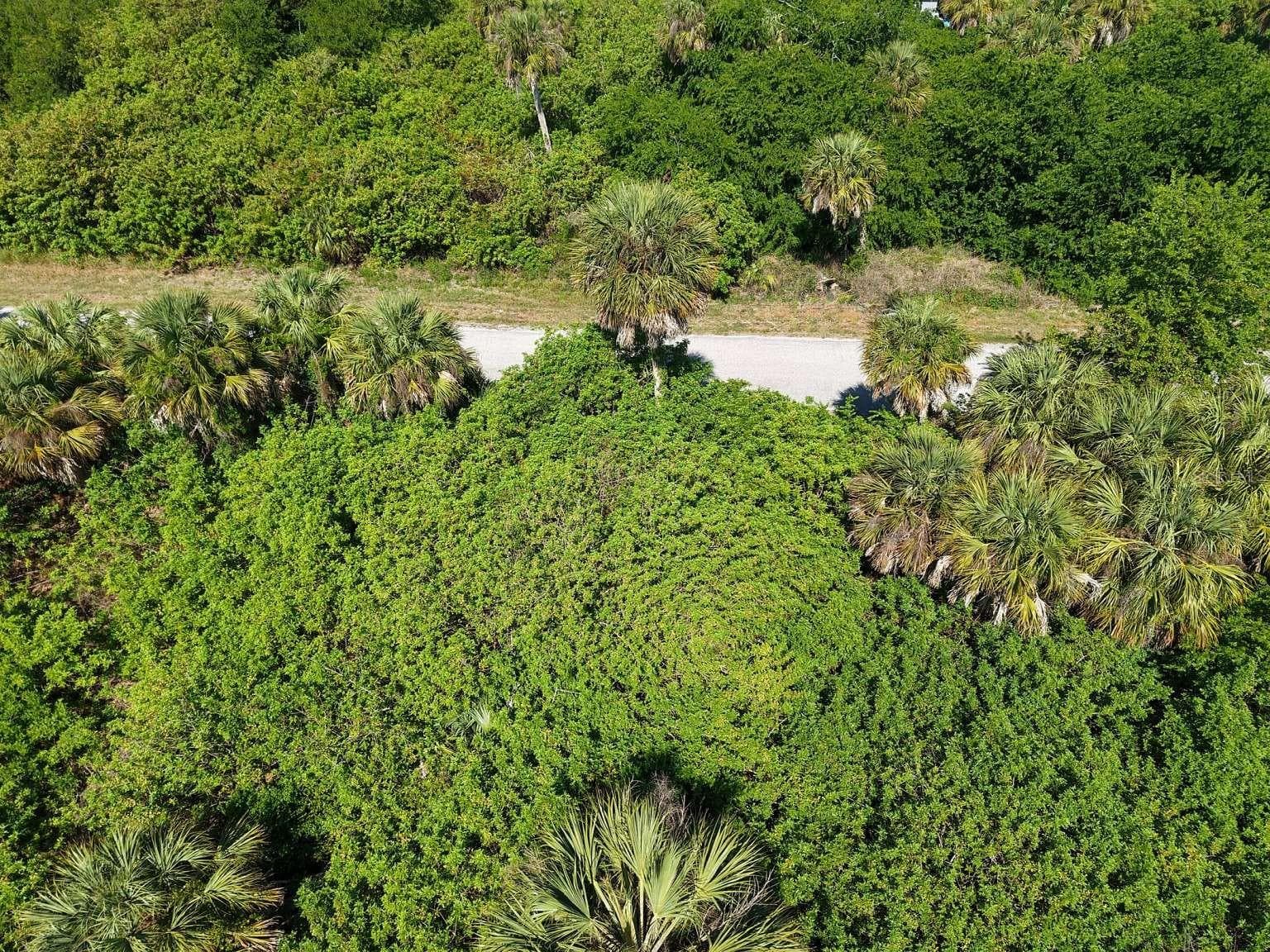 Aerial view of the lot and road. - 60 DENVER DR, PORT CHARLOTTE