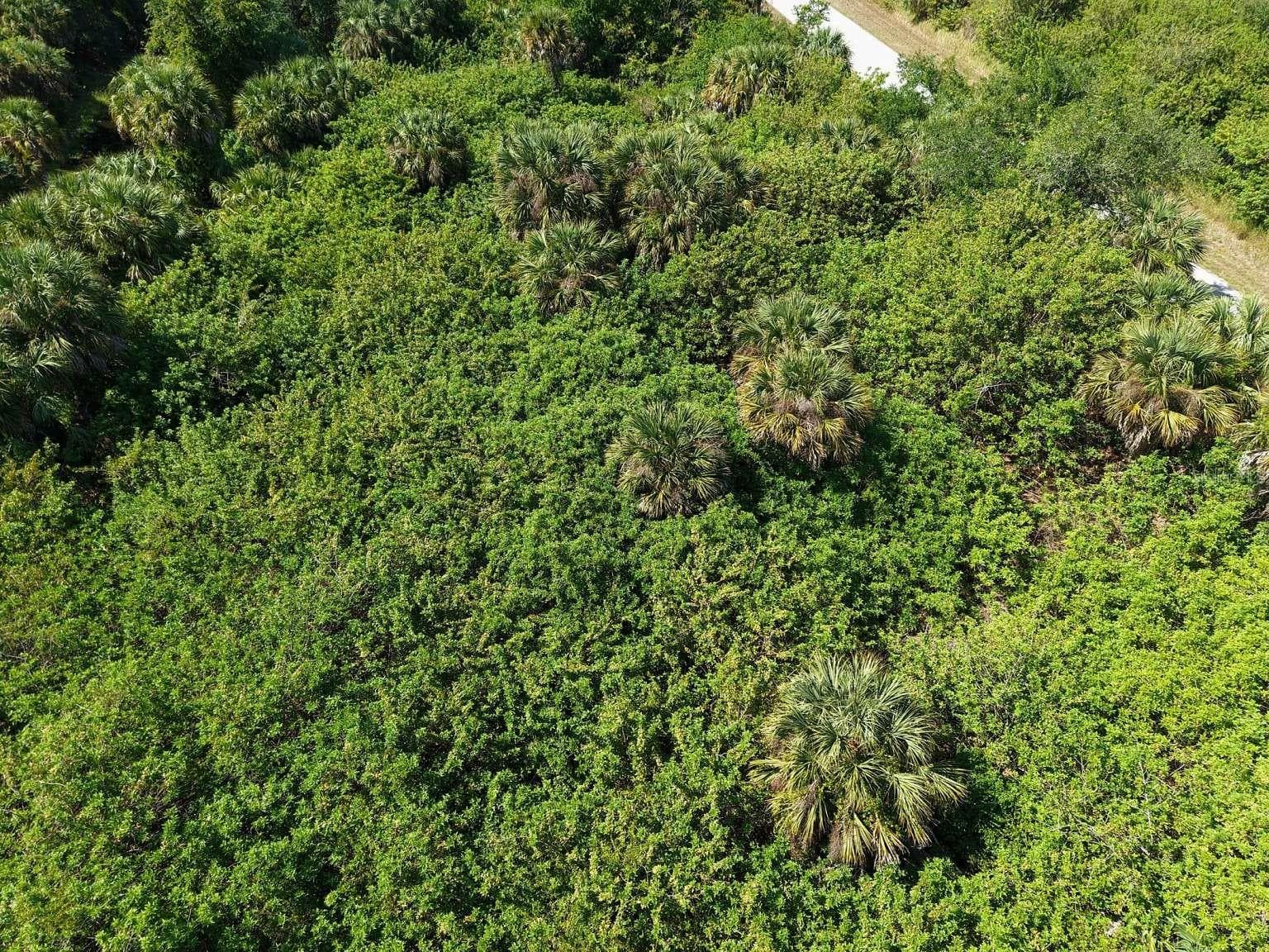 Aerial view of the lot vegetation. - 60 DENVER DR, PORT CHARLOTTE